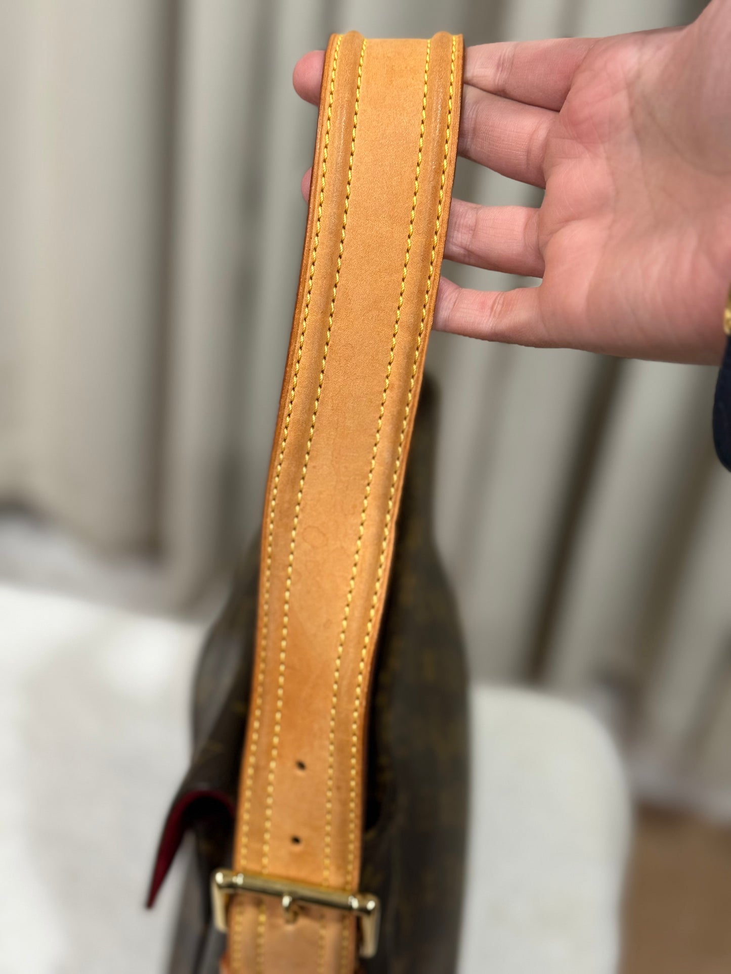 Louis Vuitton Vivacite GM Mono