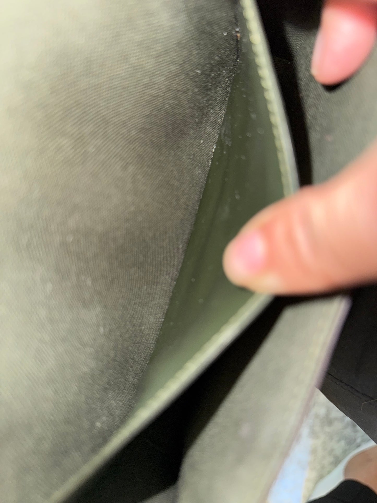 Louis Vuitton Felicie Strap and Go (Bag Only)