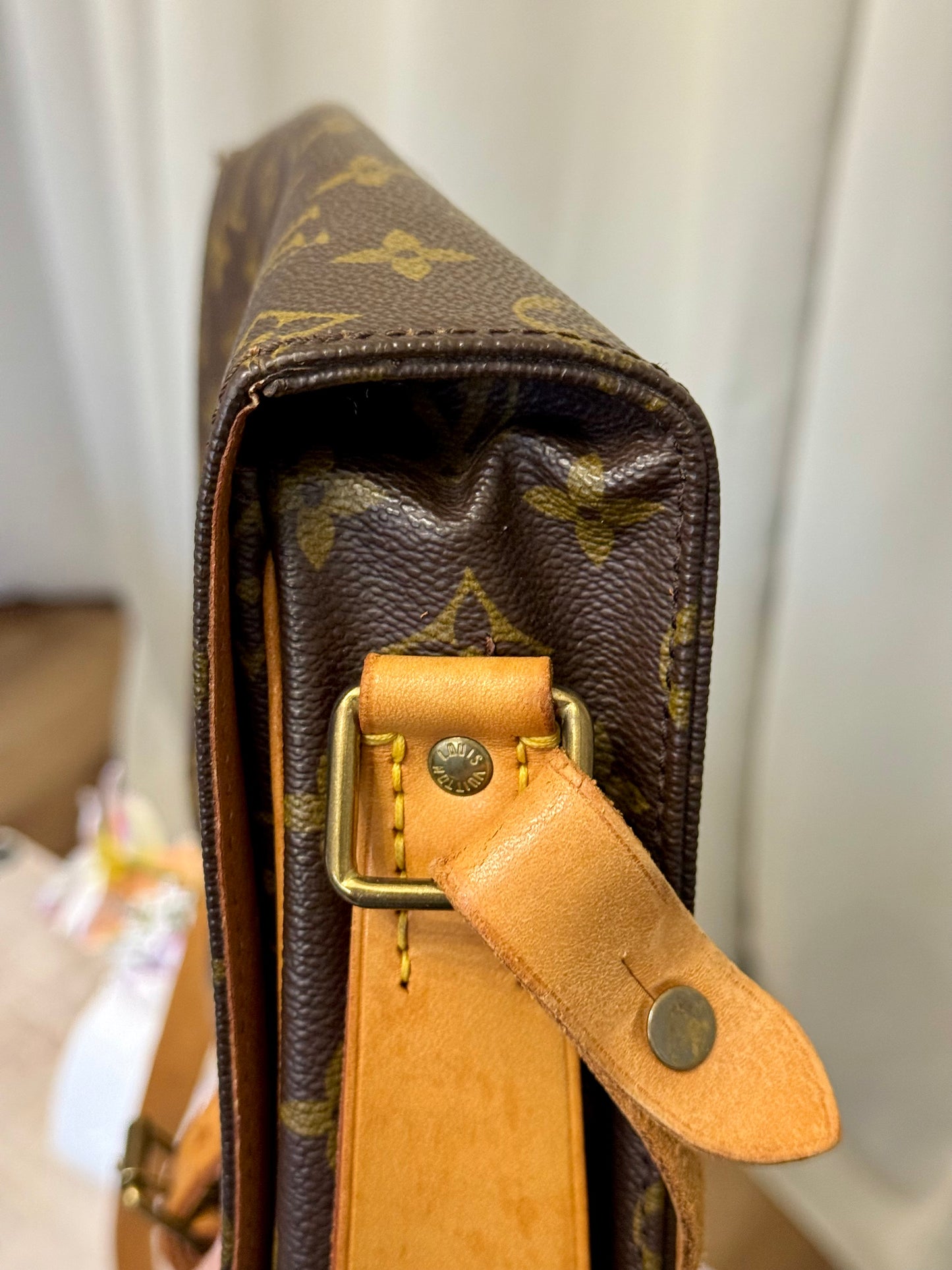 Louis Vuitton Cartouchiere GM Mono