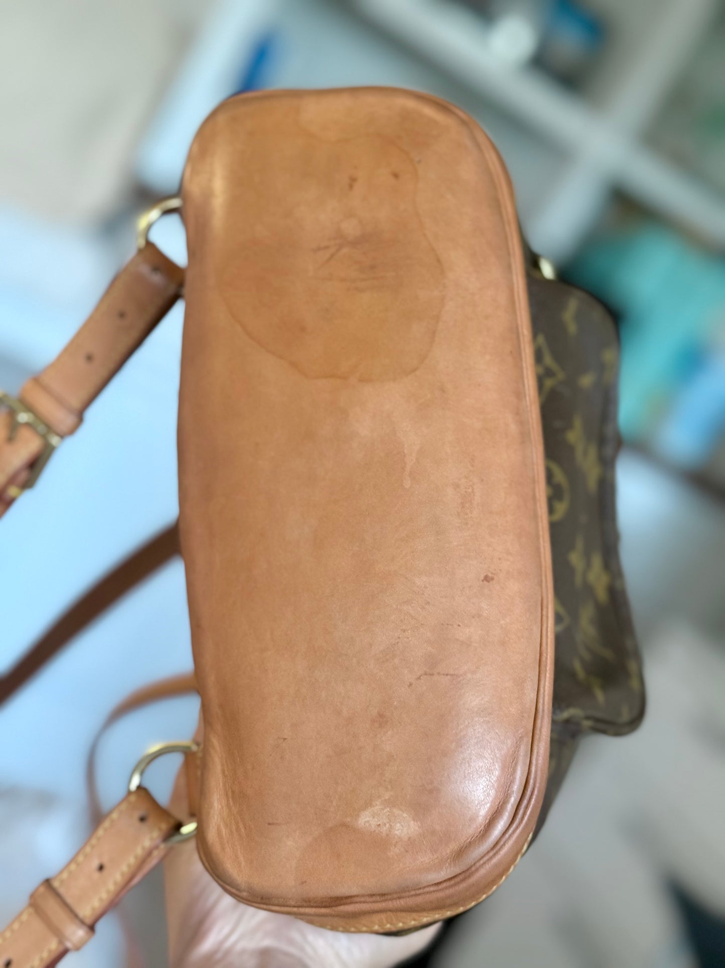 Louis Vuitton Montsouris PM Mono Old Model