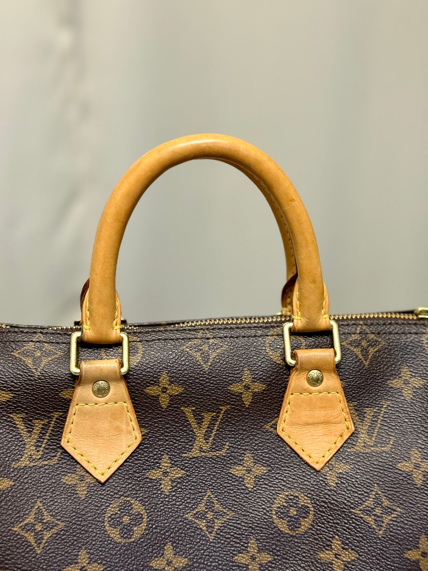 Louis Vuitton Speedy 25 Mono