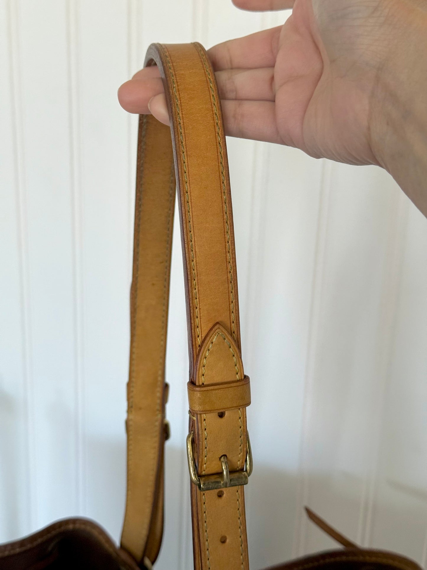 Louis Vuitton Petit Noe Mono