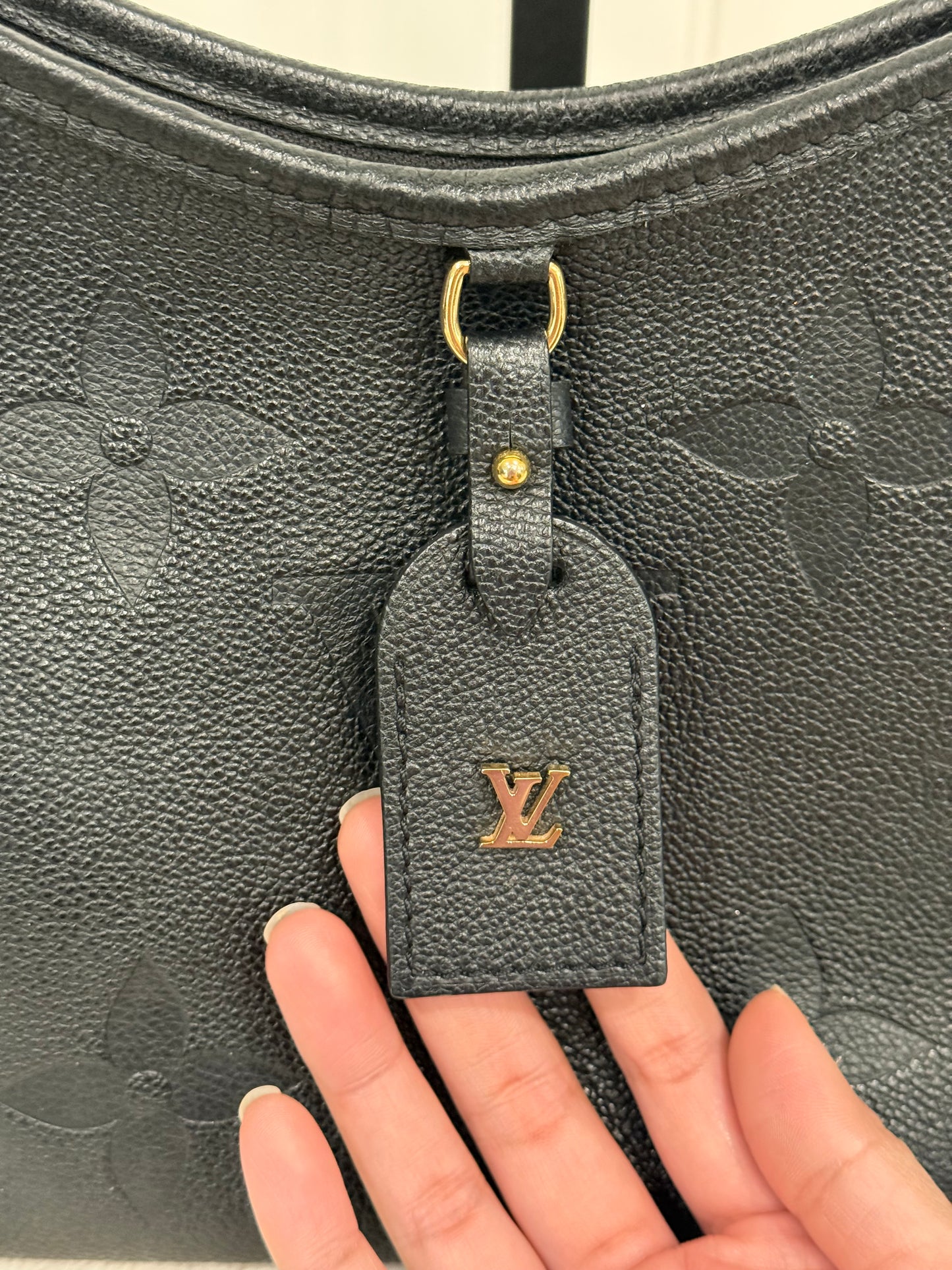 Louis Vuitton Carryall PM Giant Mono Empreinte Black/Noir