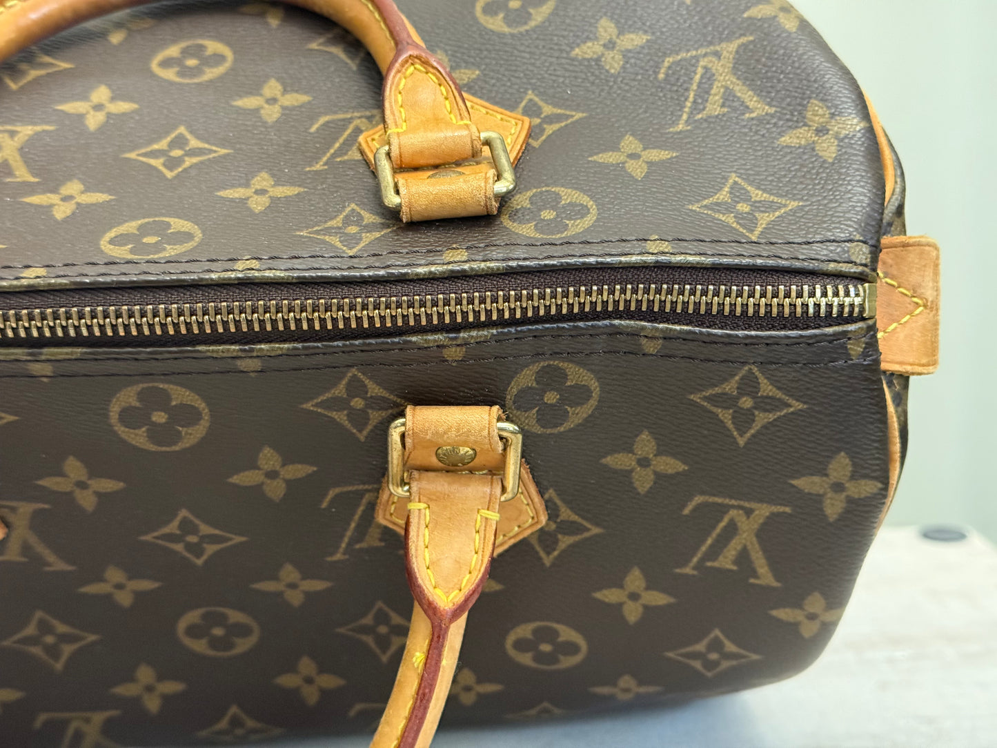Louis Vuitton Speedy 30 Mono