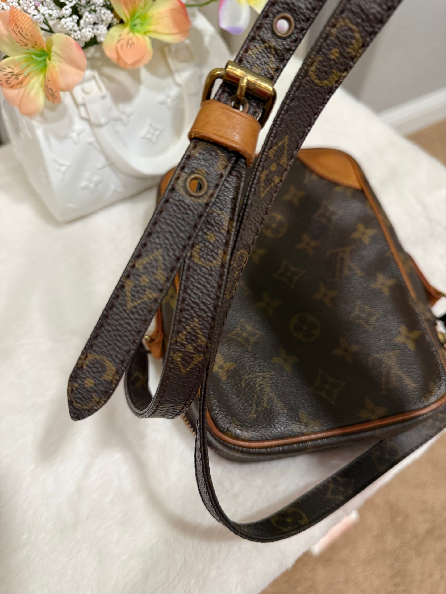 Louis Vuitton Danube PM Mono