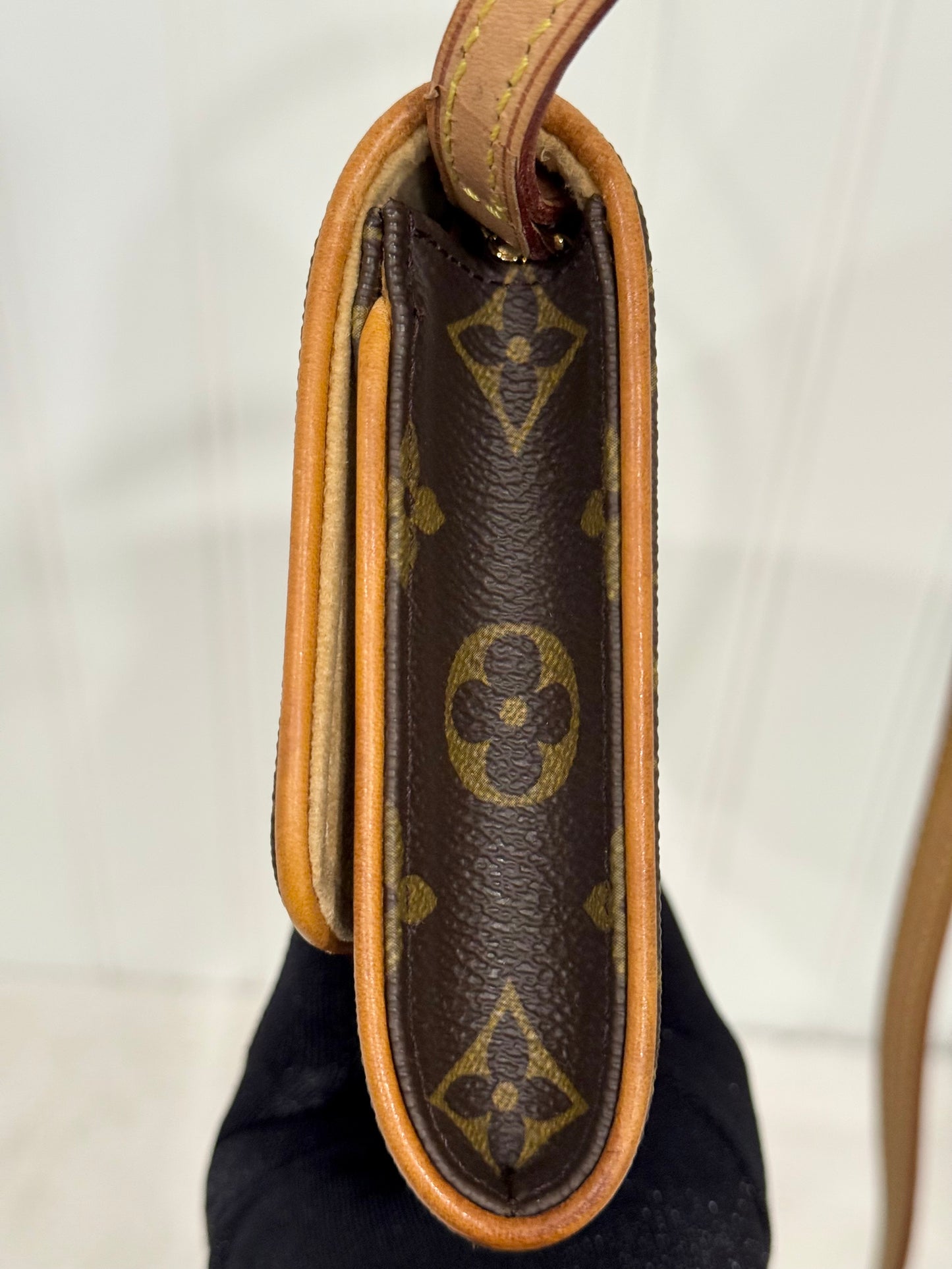 Louis Vuitton Twin Pochette GM Mono