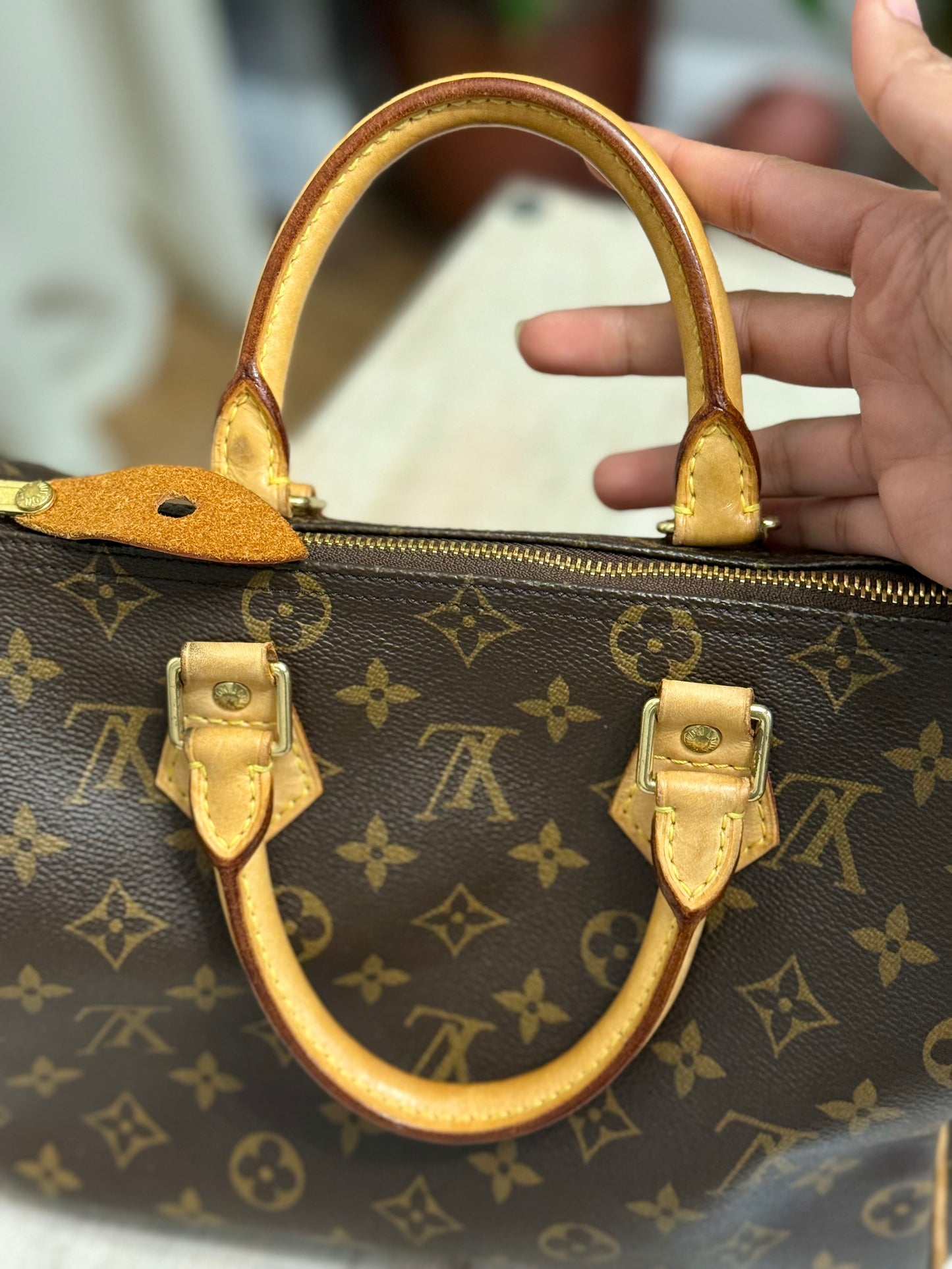 Louis Vuitton Speedy 25 Mono
