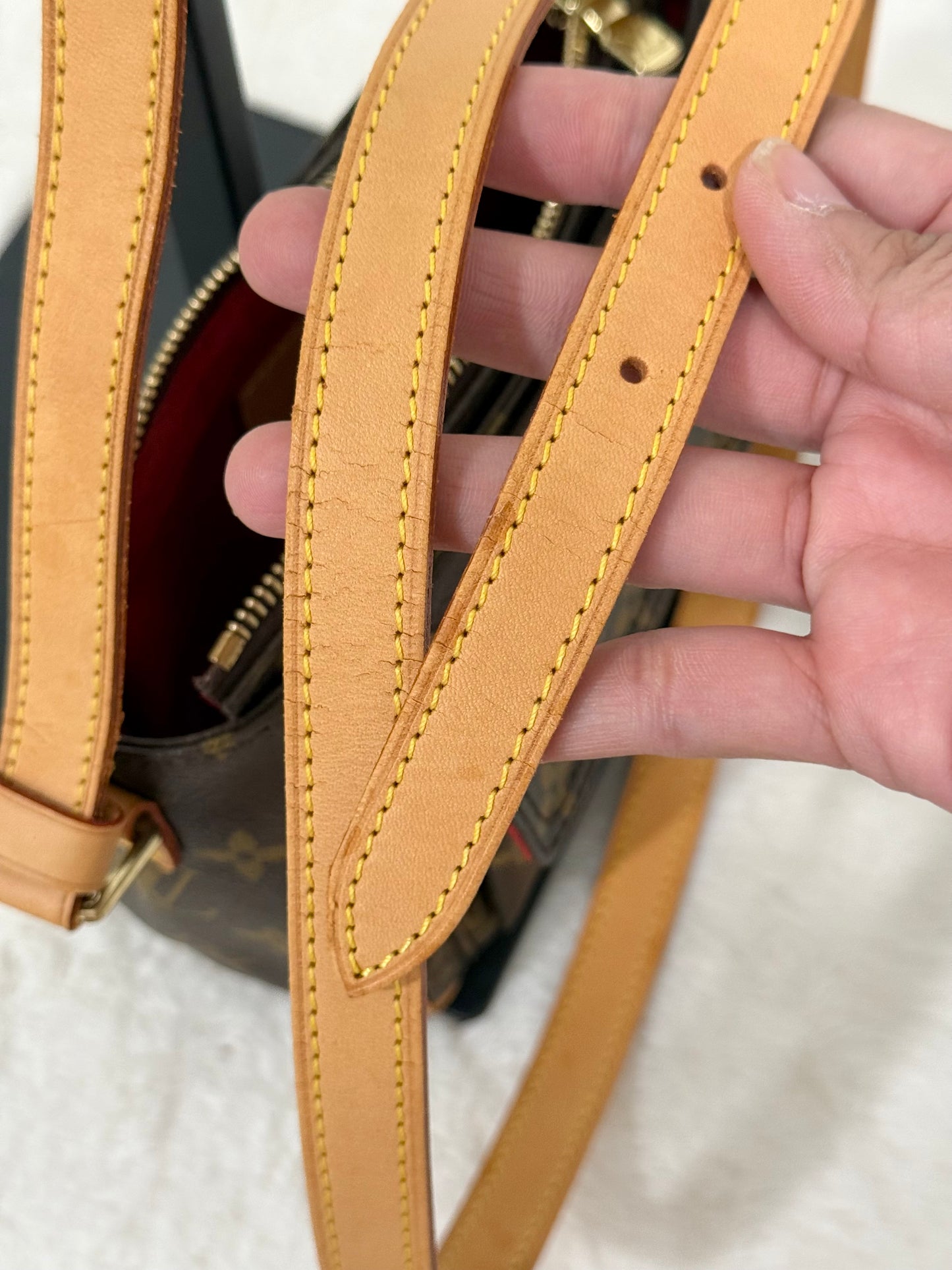 Louis Vuitton Viva Cite PM