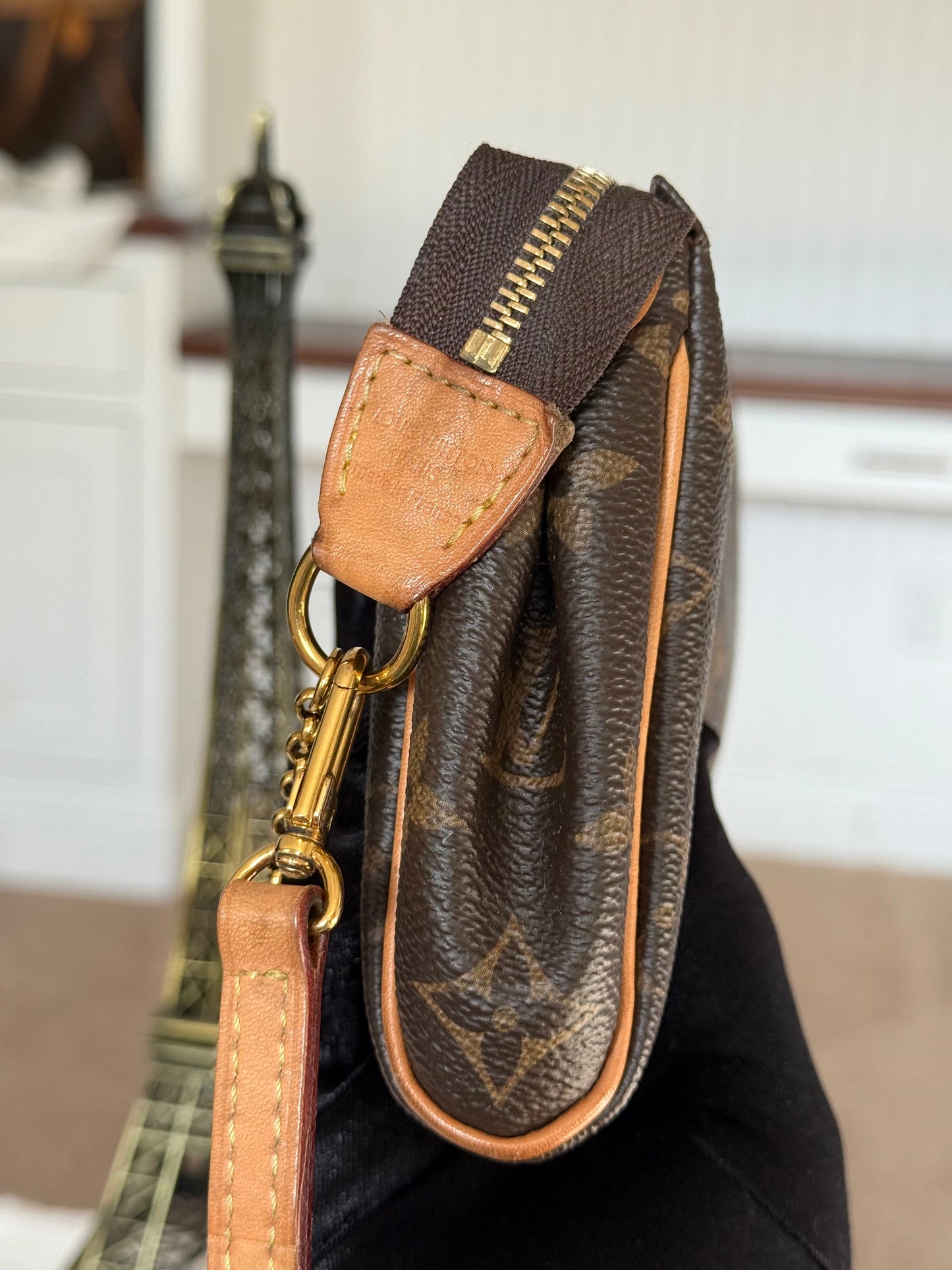 Louis Vuitton Eva Pochette Mono