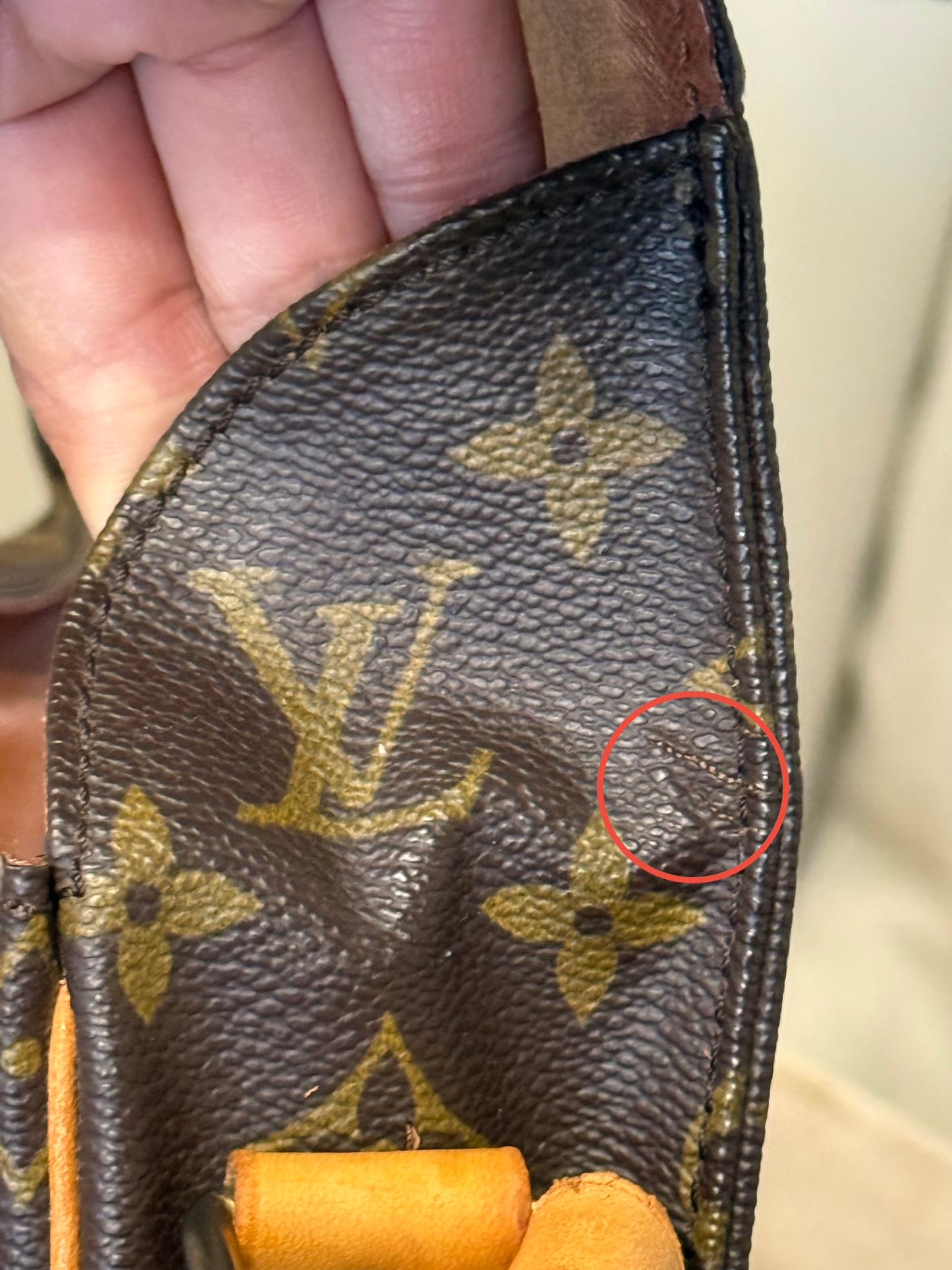 Louis Vuitton Cartouchiere GM Mono