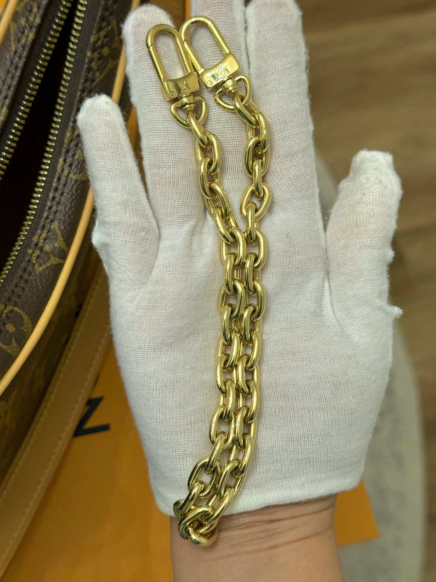 Louis Vuitton Loop PM Mono