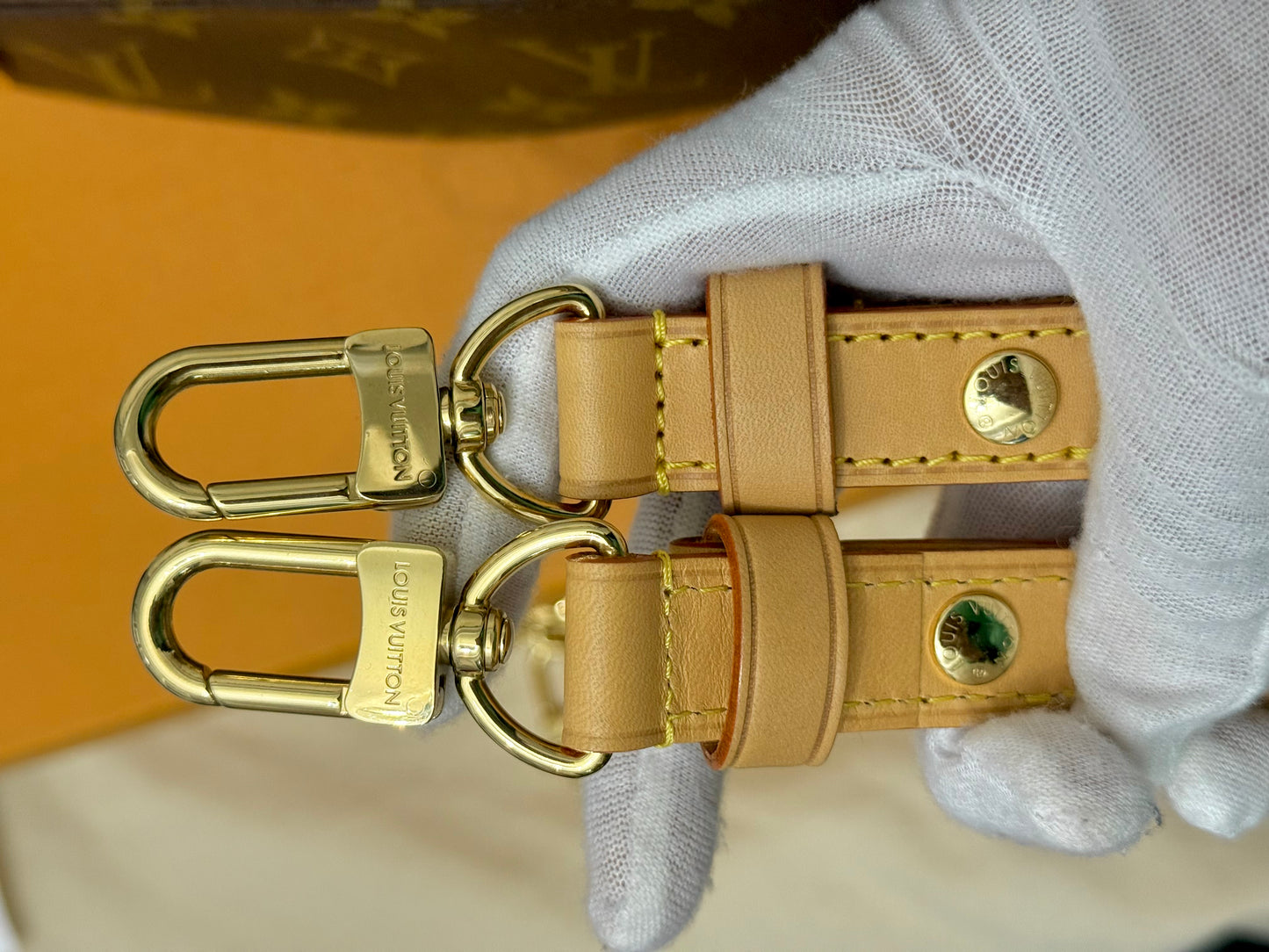 Louis Vuitton Loop PM Mono