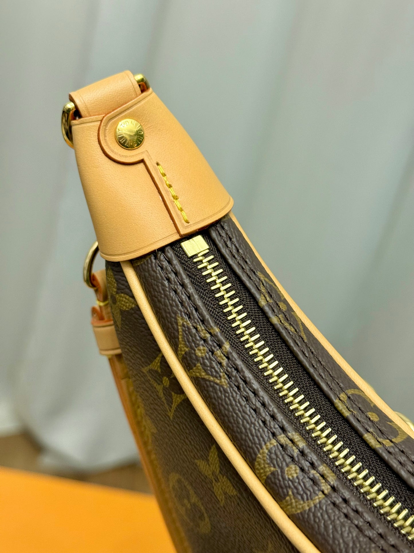 Louis Vuitton Loop PM Mono