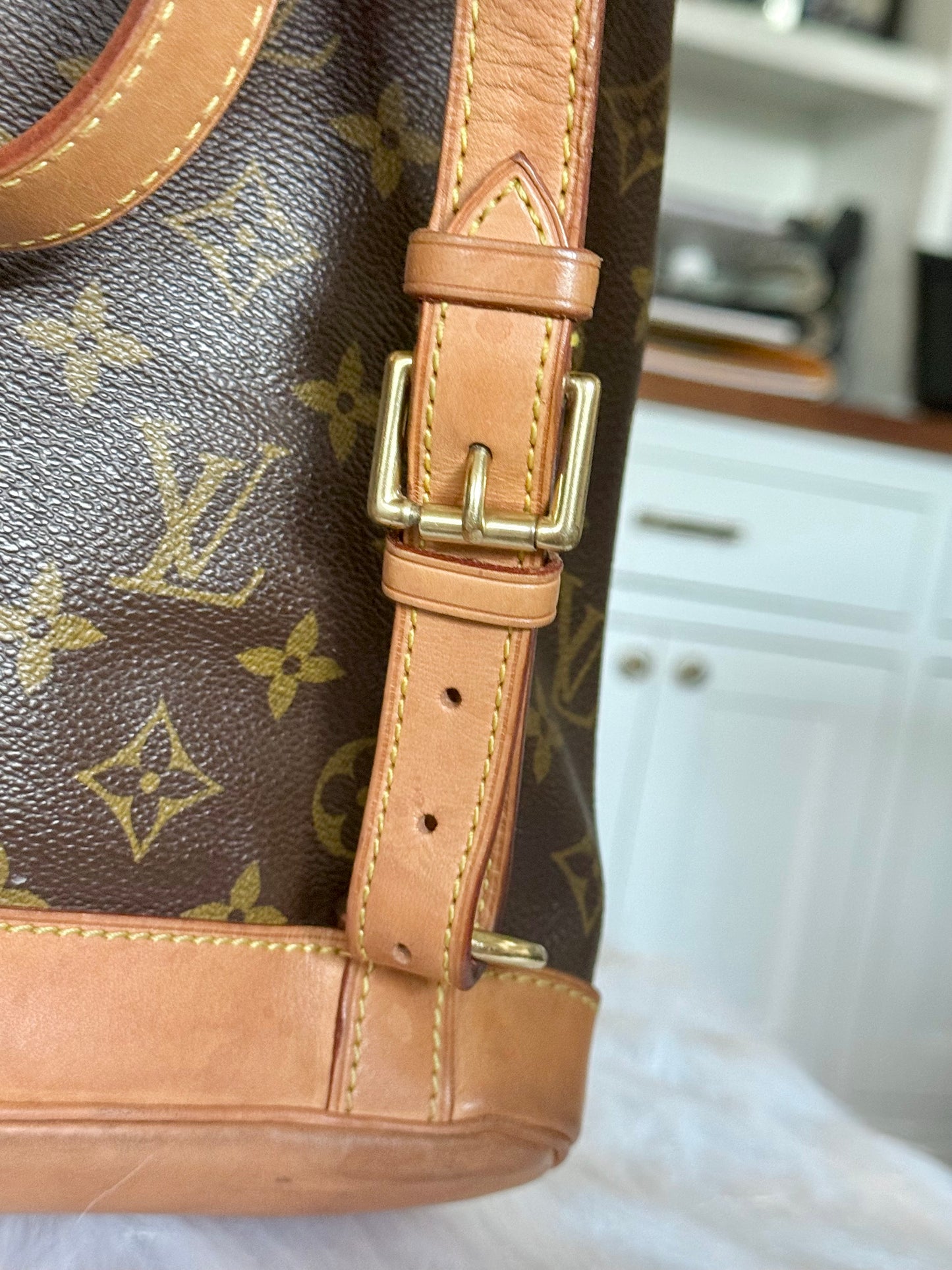 Louis Vuitton Montsouris PM Mono Old Model