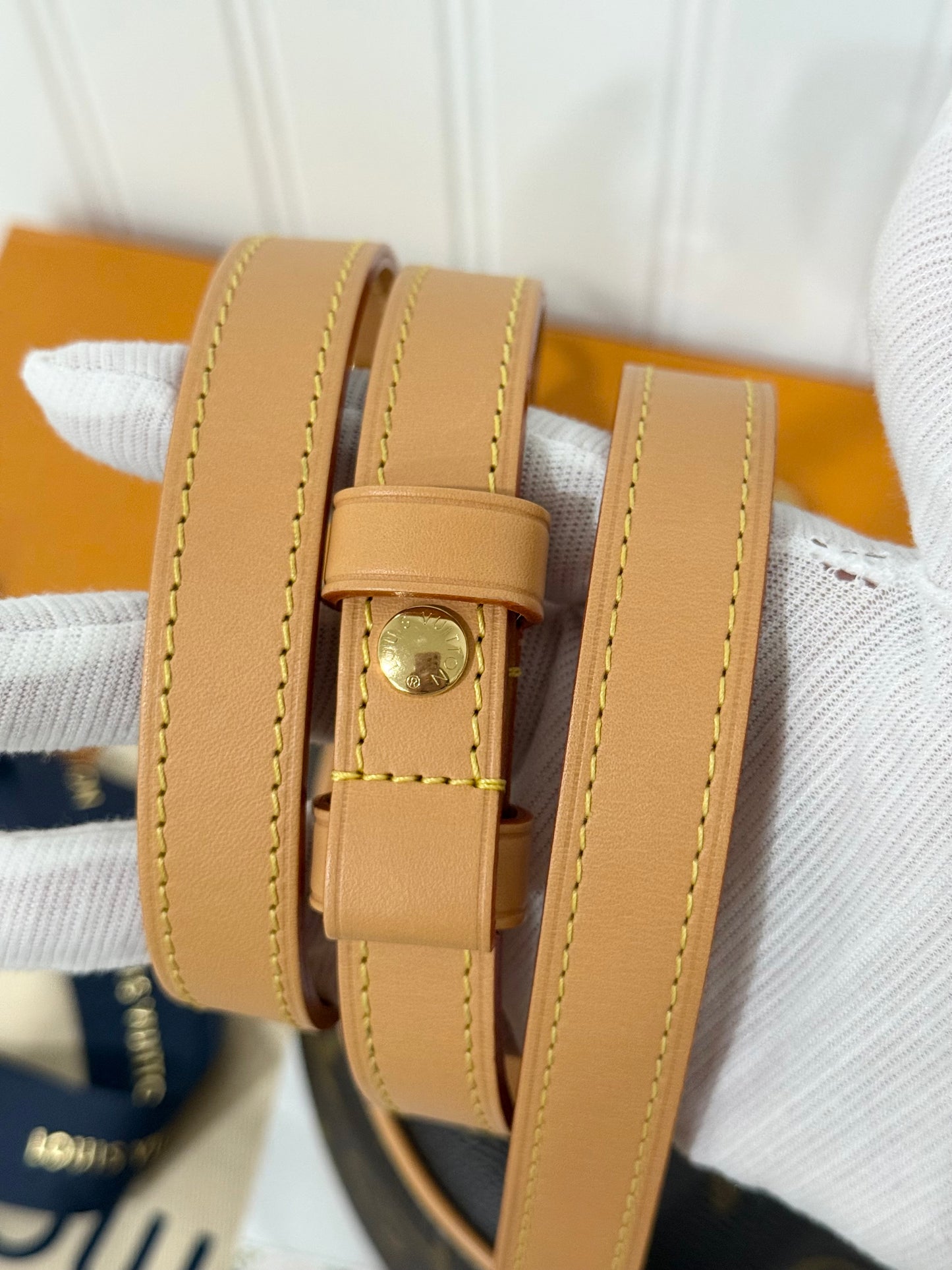 Louis Vuitton Loop PM Mono