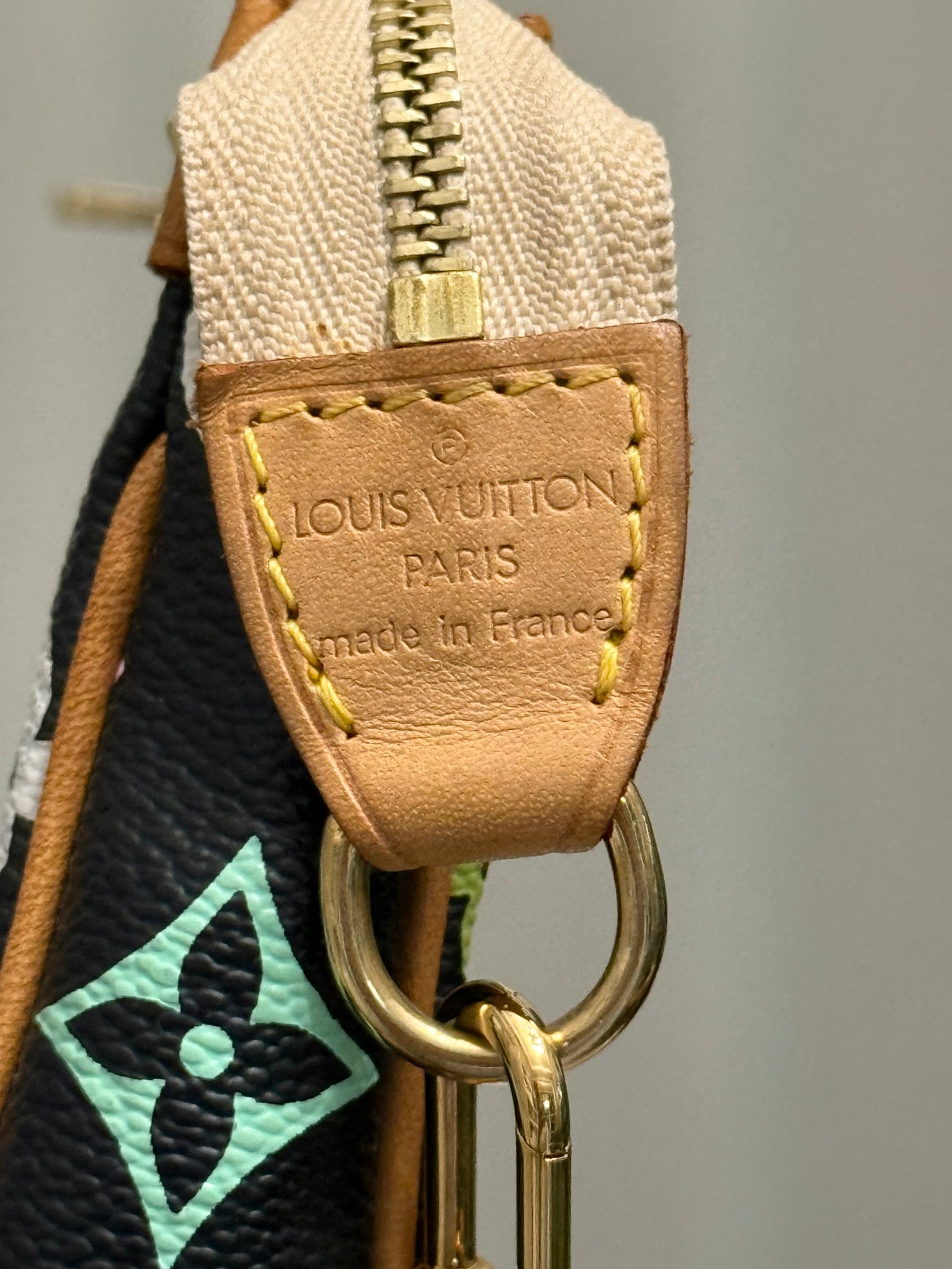 Louis Vuitton Pochette Accessoires Multicolore Noir/Black