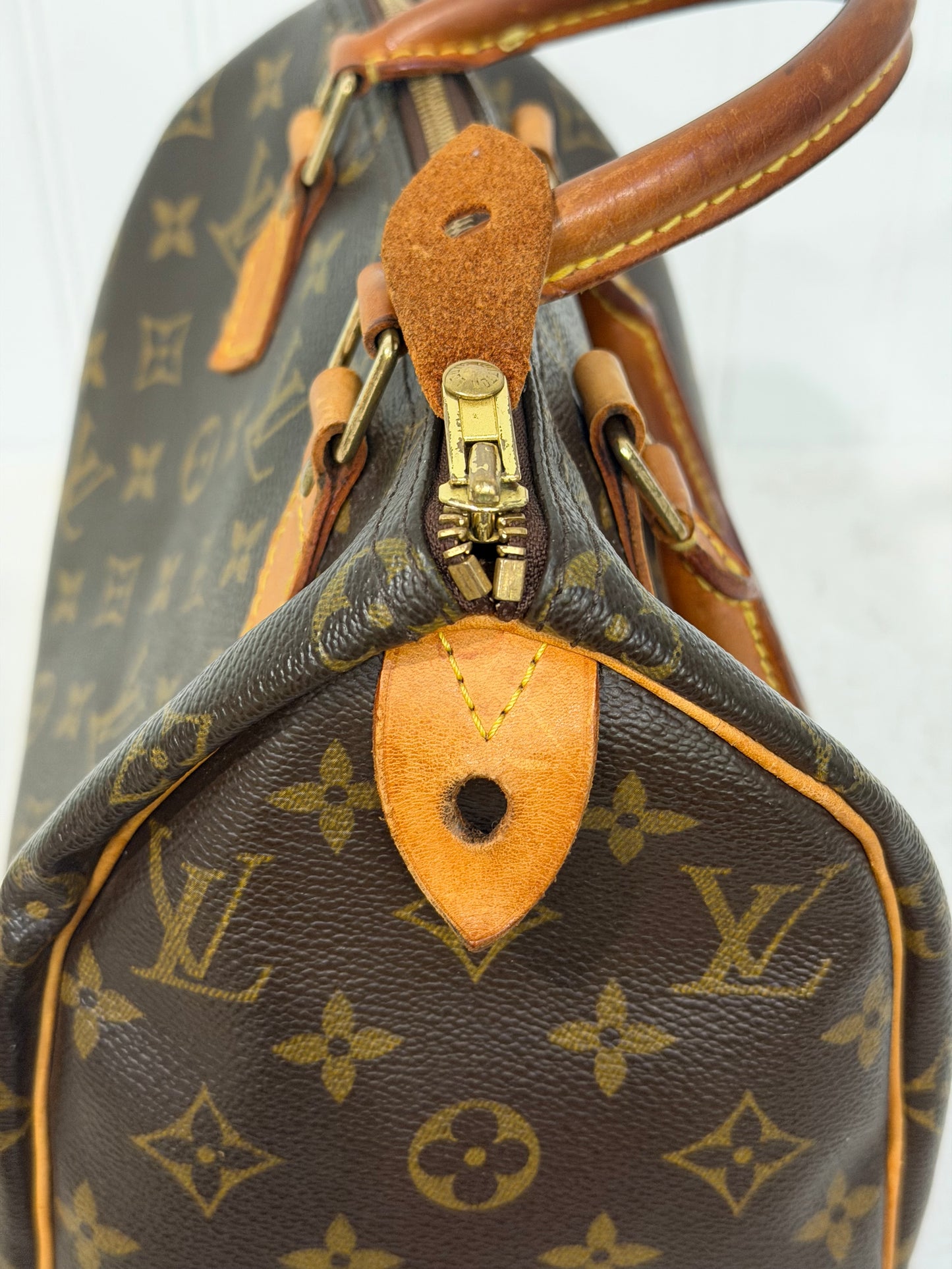 Louis Vuitton Speedy 25 Mono