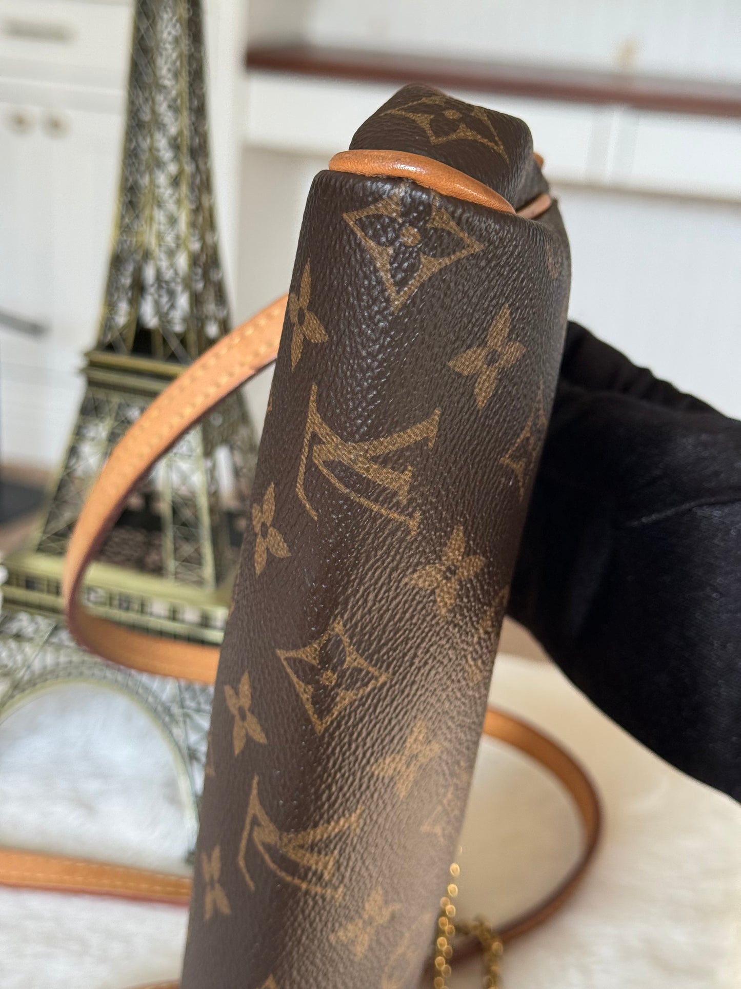 Louis Vuitton Eva Pochette Mono