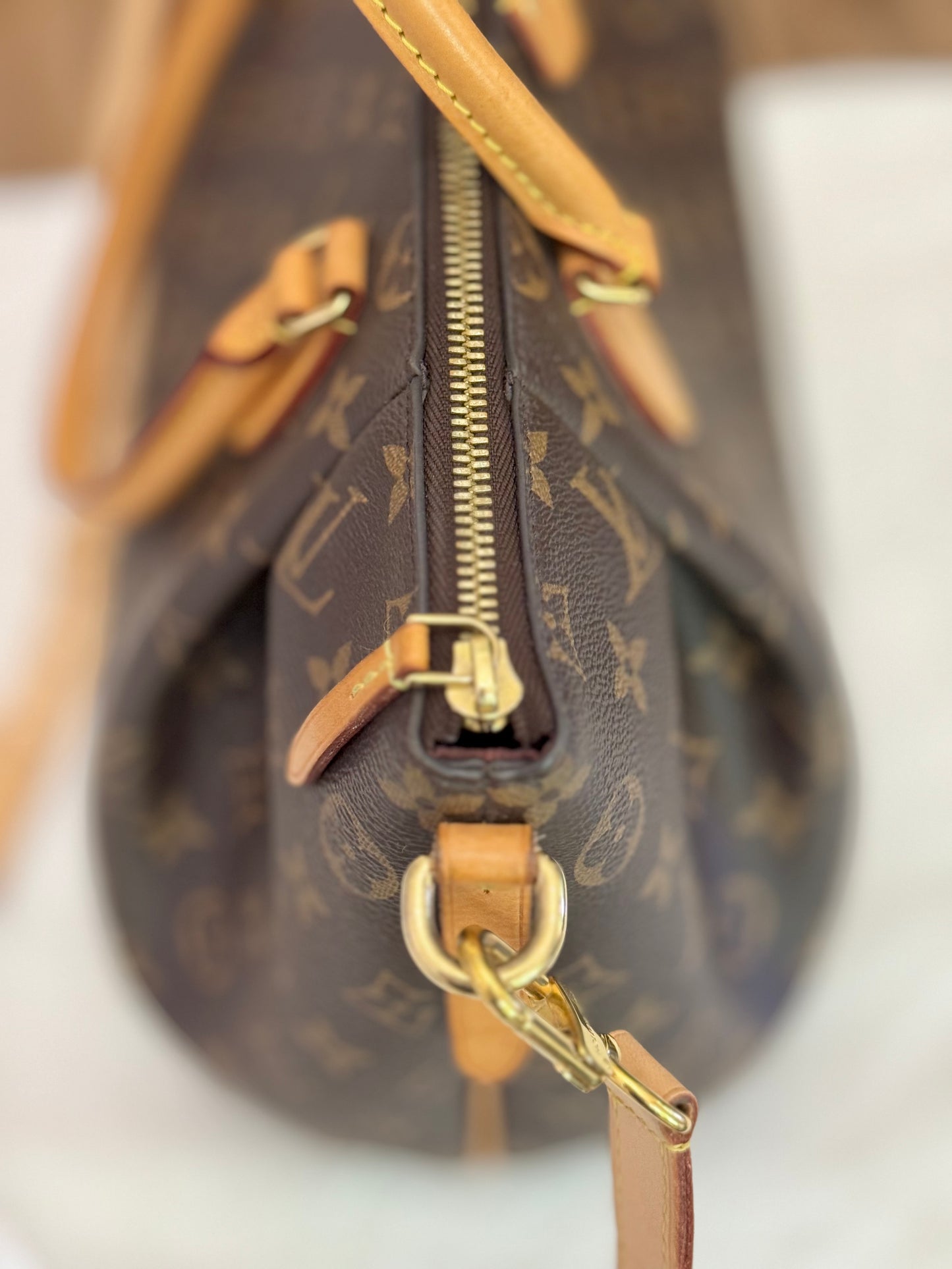 Louis Vuitton Turenne MM Mono