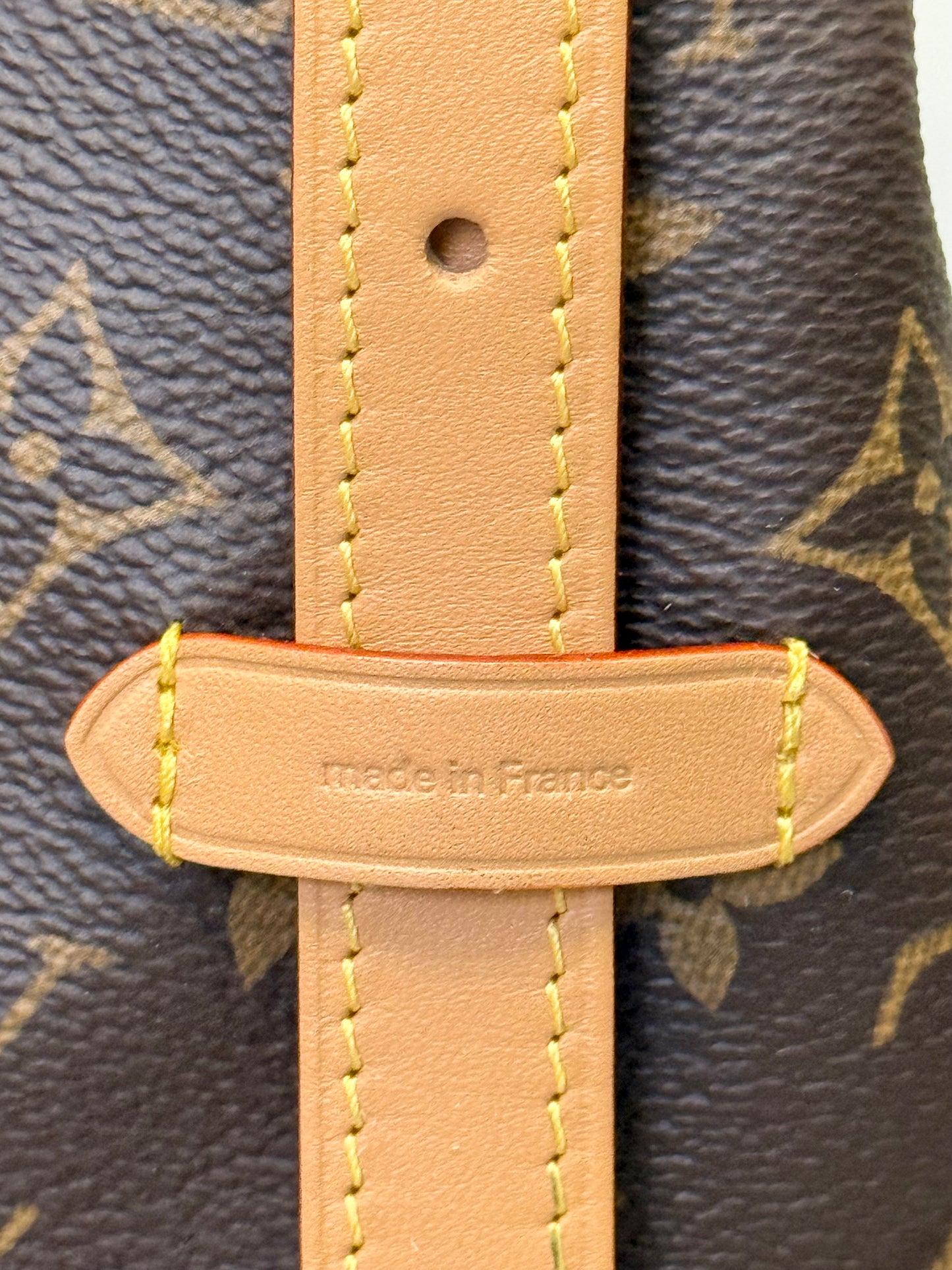Louis Vuitton Carryall PM Mono (Bag Only)