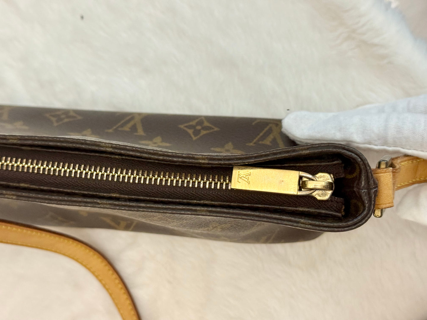 Louis Vuitton Trotteur Mono