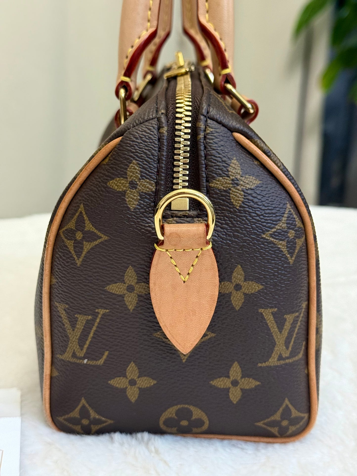 Louis Vuitton Speedy 20 Mono Bag Only