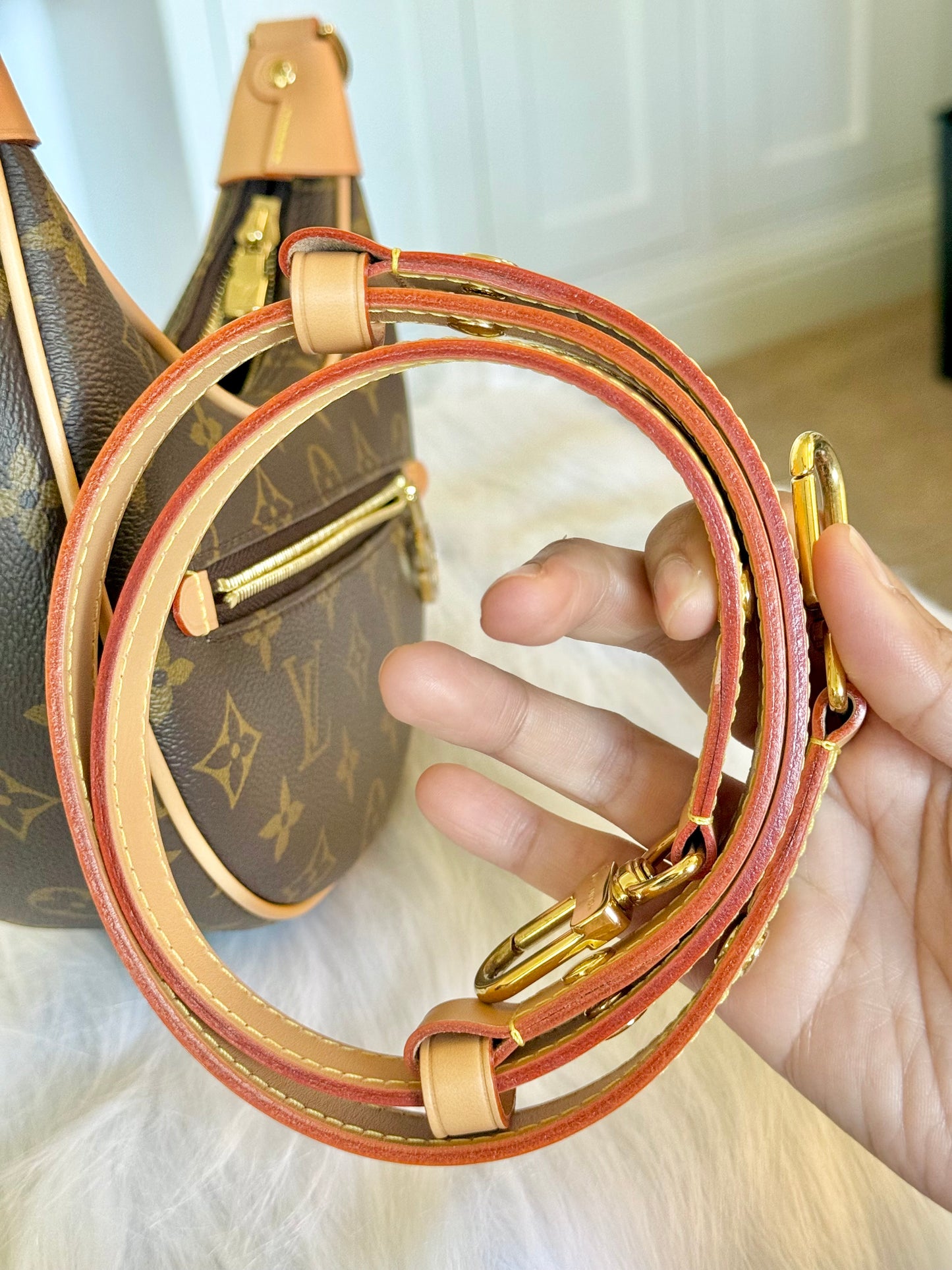 Louis Vuitton Loop PM Mono