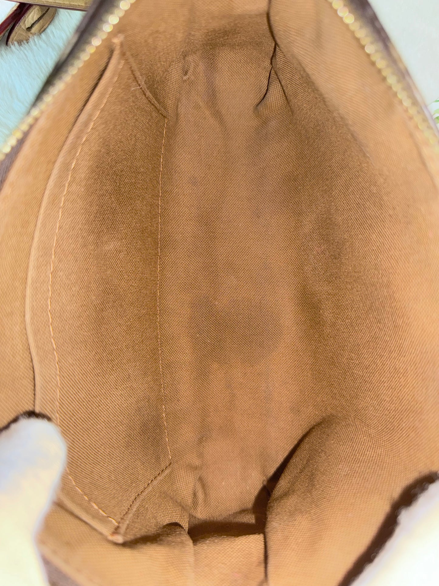 Louis Vuitton Pochette Accessoires New Model Mono