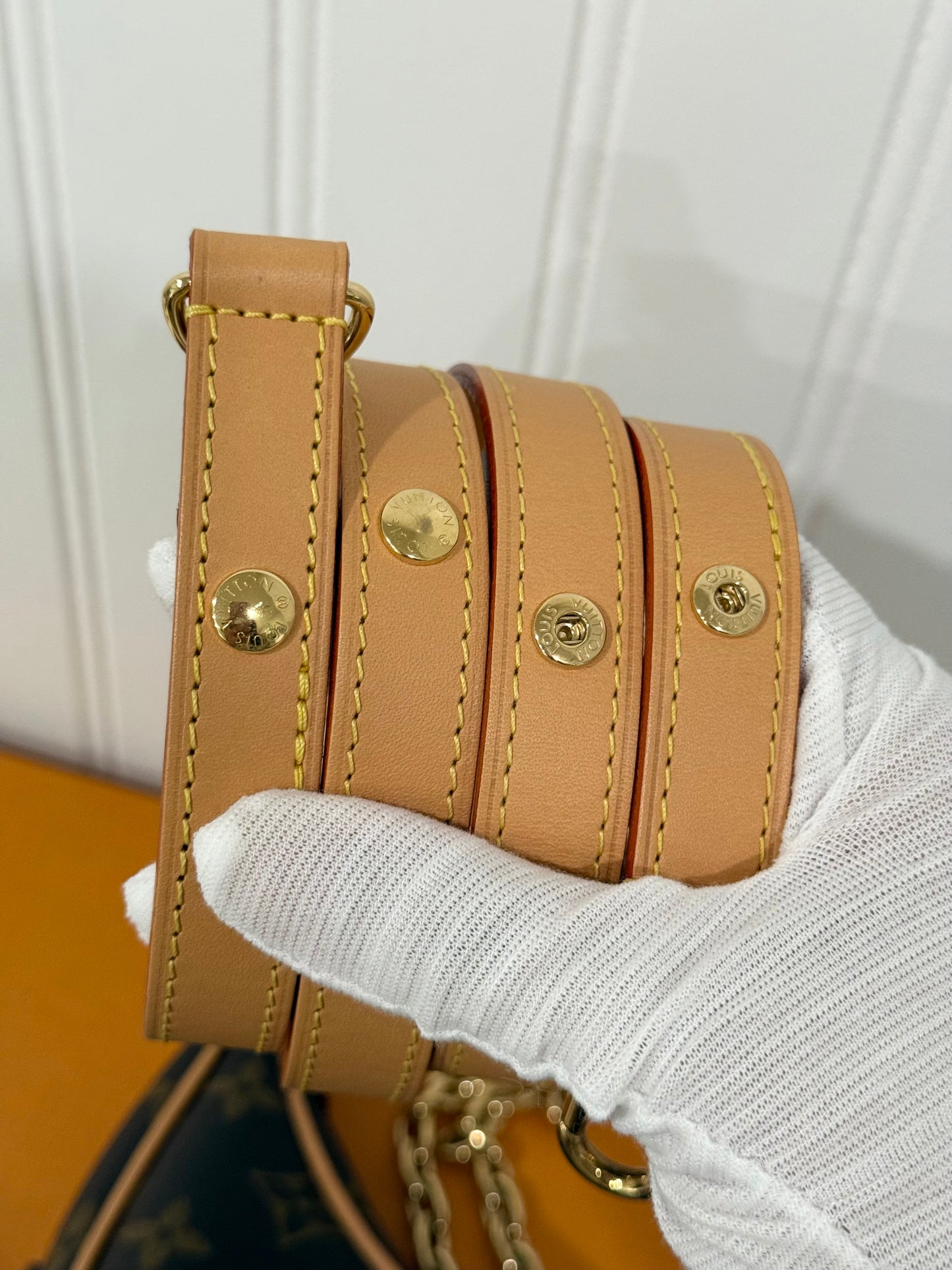 Louis Vuitton Loop PM Mono