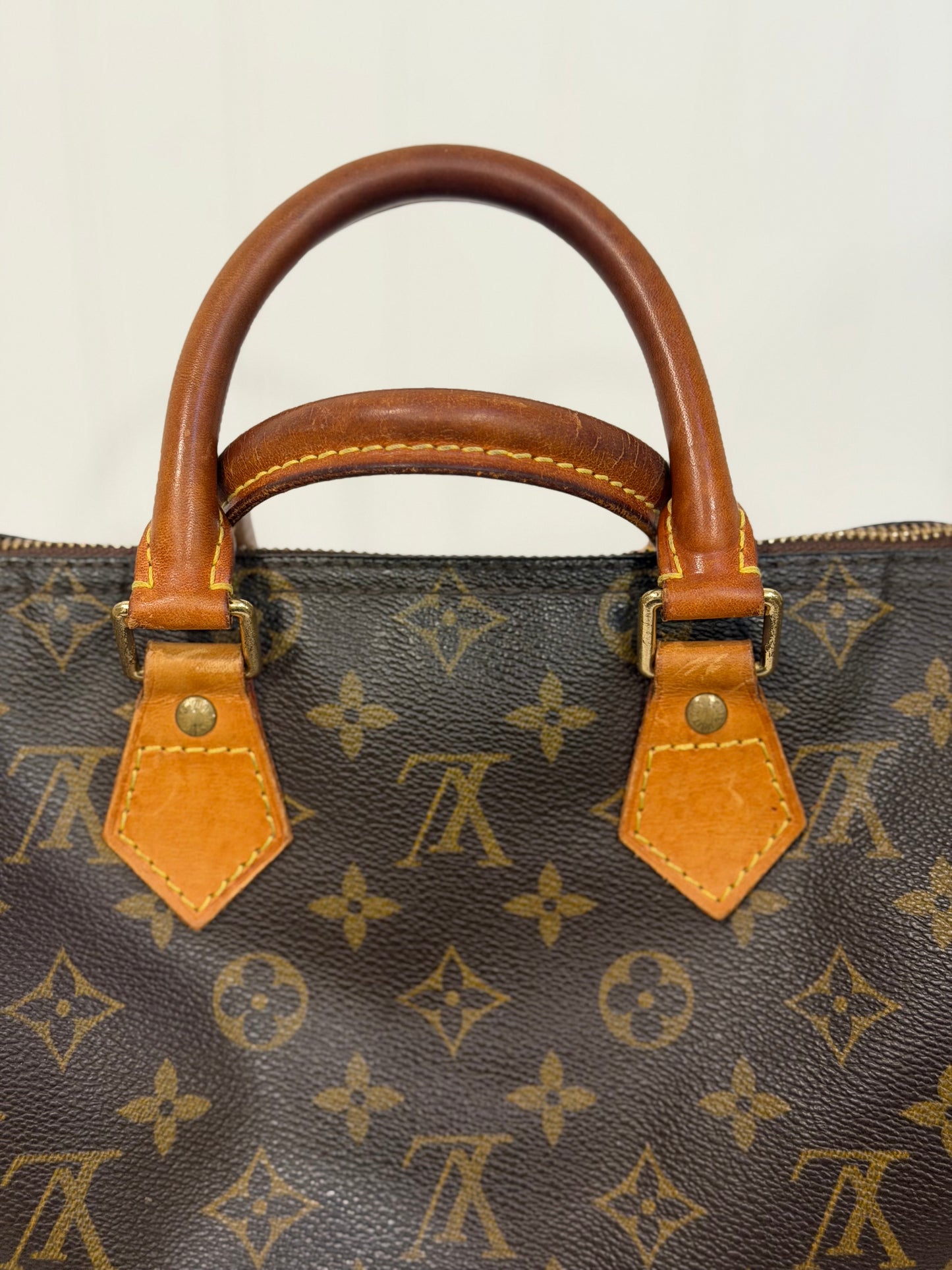 Louis Vuitton Speedy 25 Mono