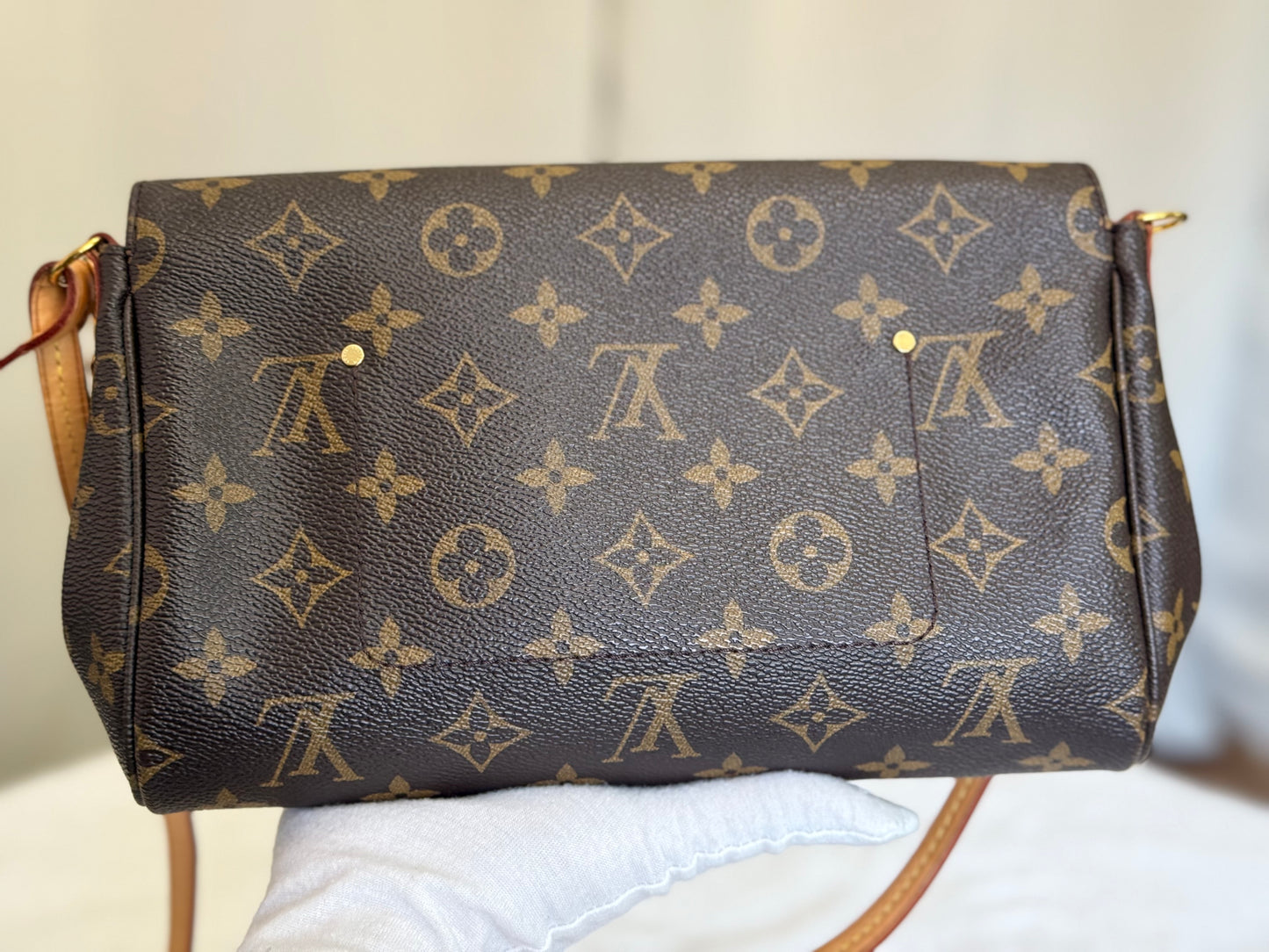 Louis Vuitton Favorite MM Mono DU2166