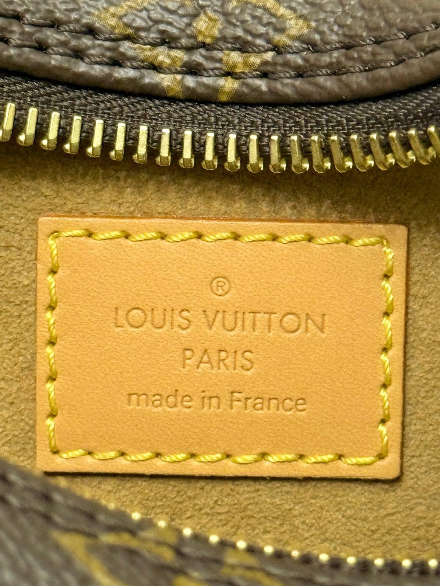 Louis Vuitton Loop PM Mono