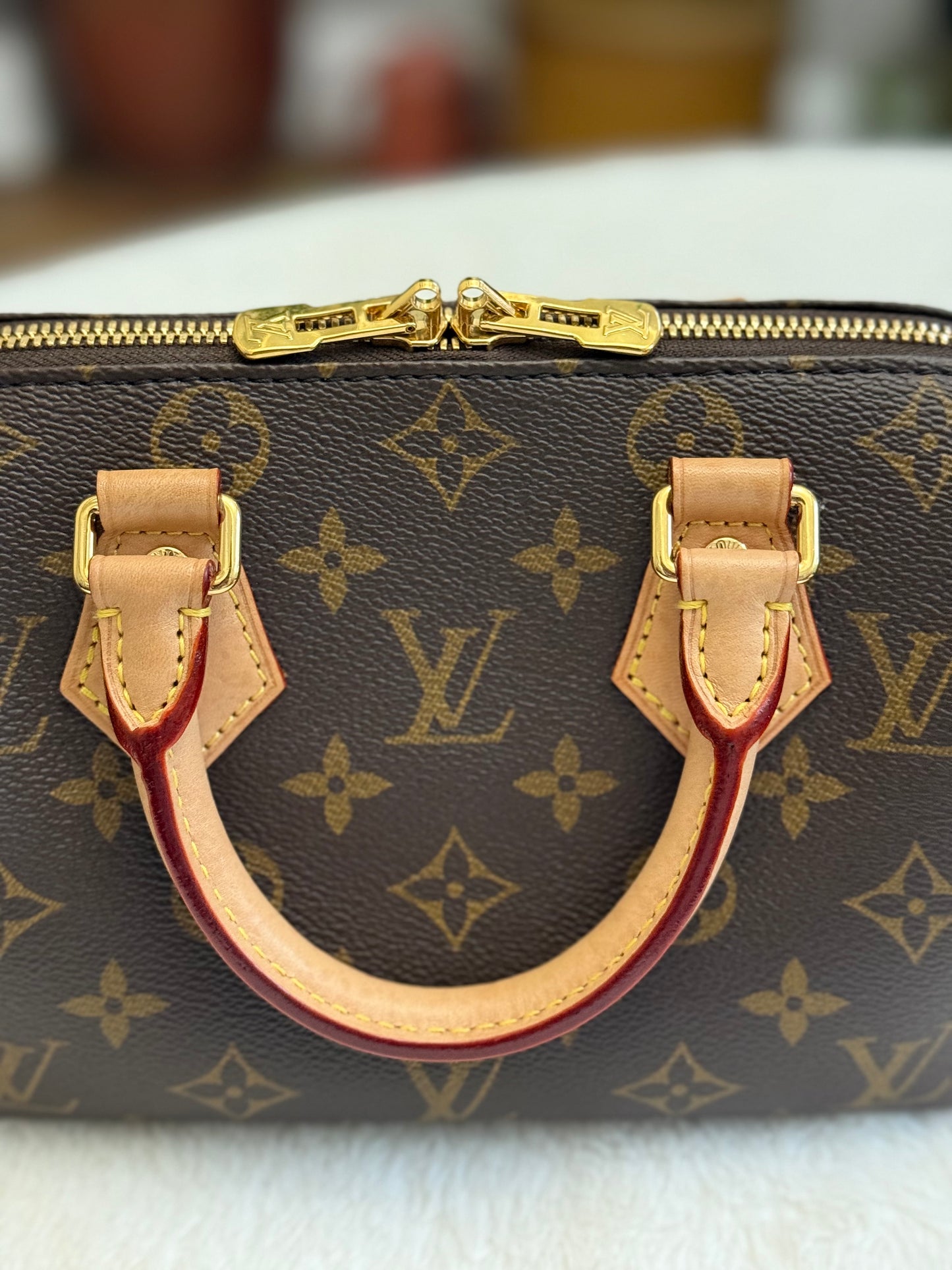 Louis Vuitton Speedy 20 Mono Bag Only