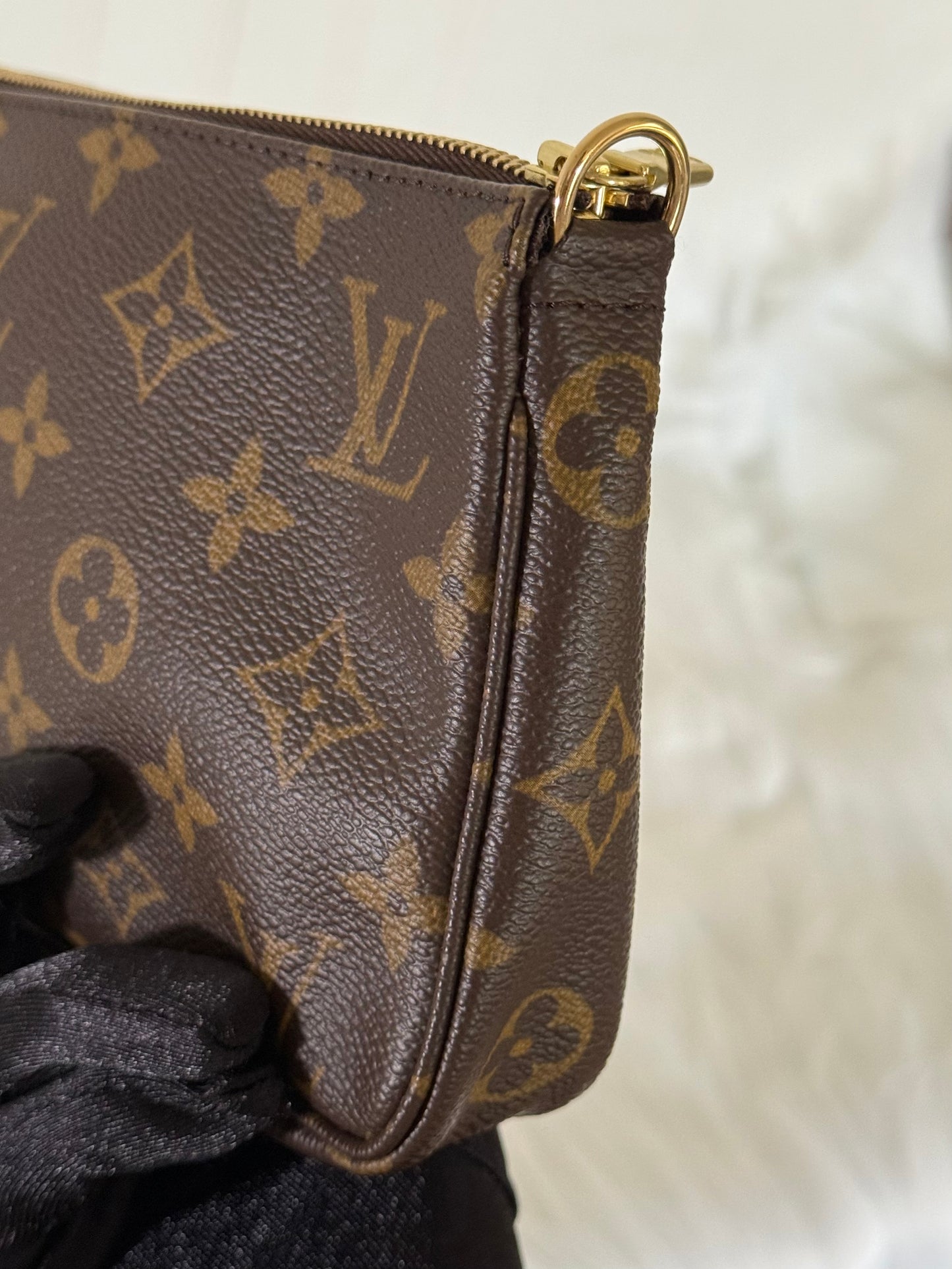 Louis Vuitton Pochette Accessoires Old Model Mono
