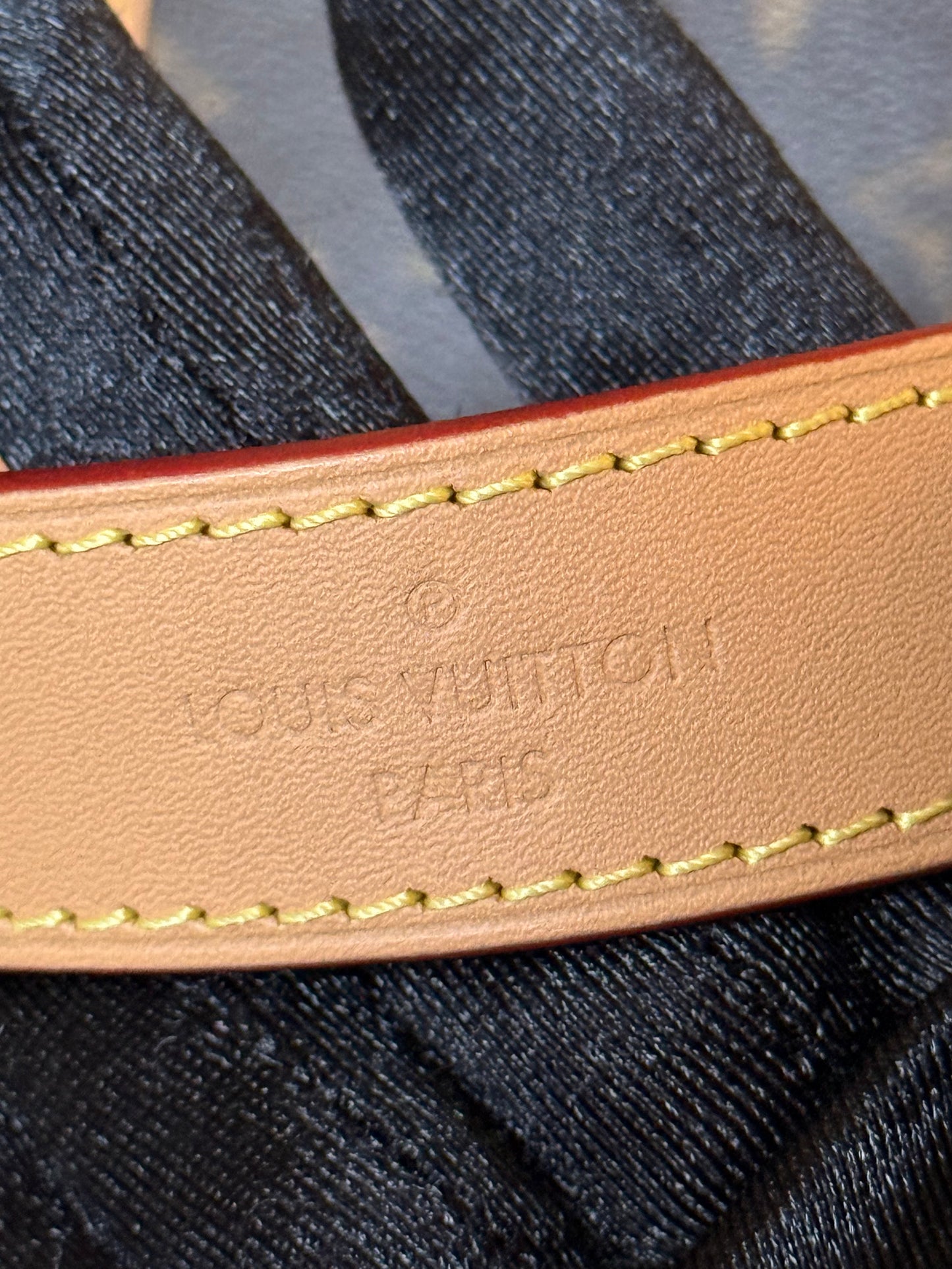 Louis Vuitton Diane Mono with Shoulder Strap