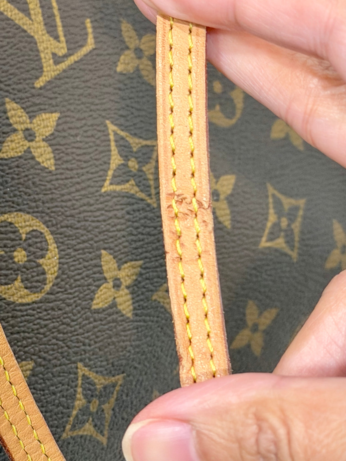 Louis Vuitton Neverfull GM Mono Pivoine SD0231