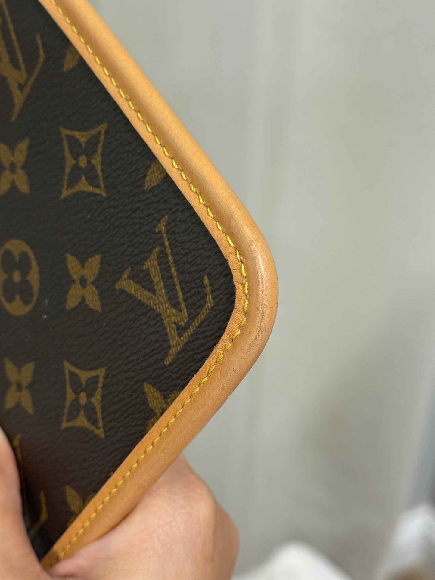 Louis Vuitton Carryall PM Pouch Mono