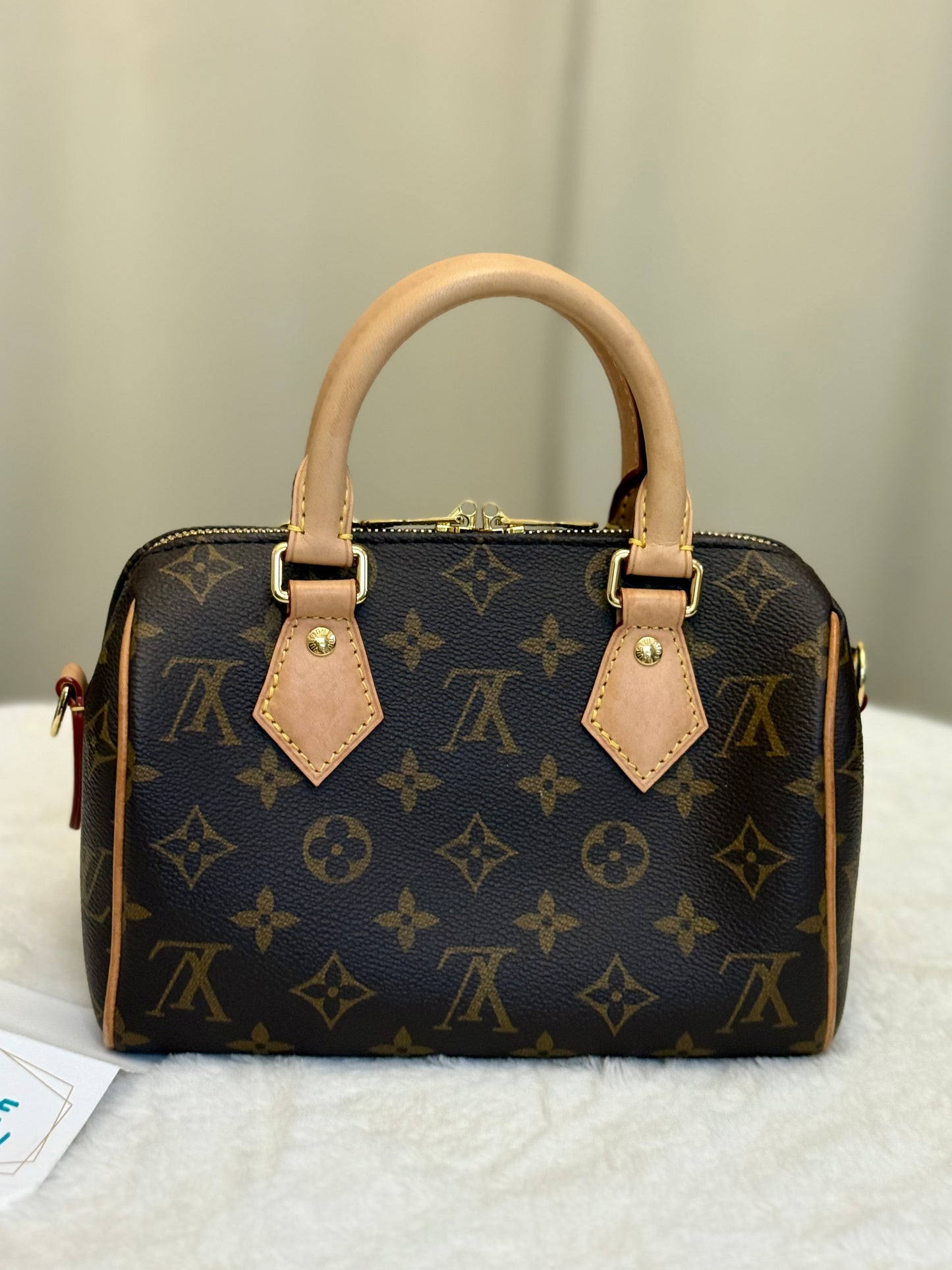 Louis Vuitton Speedy 20 Mono Bag Only