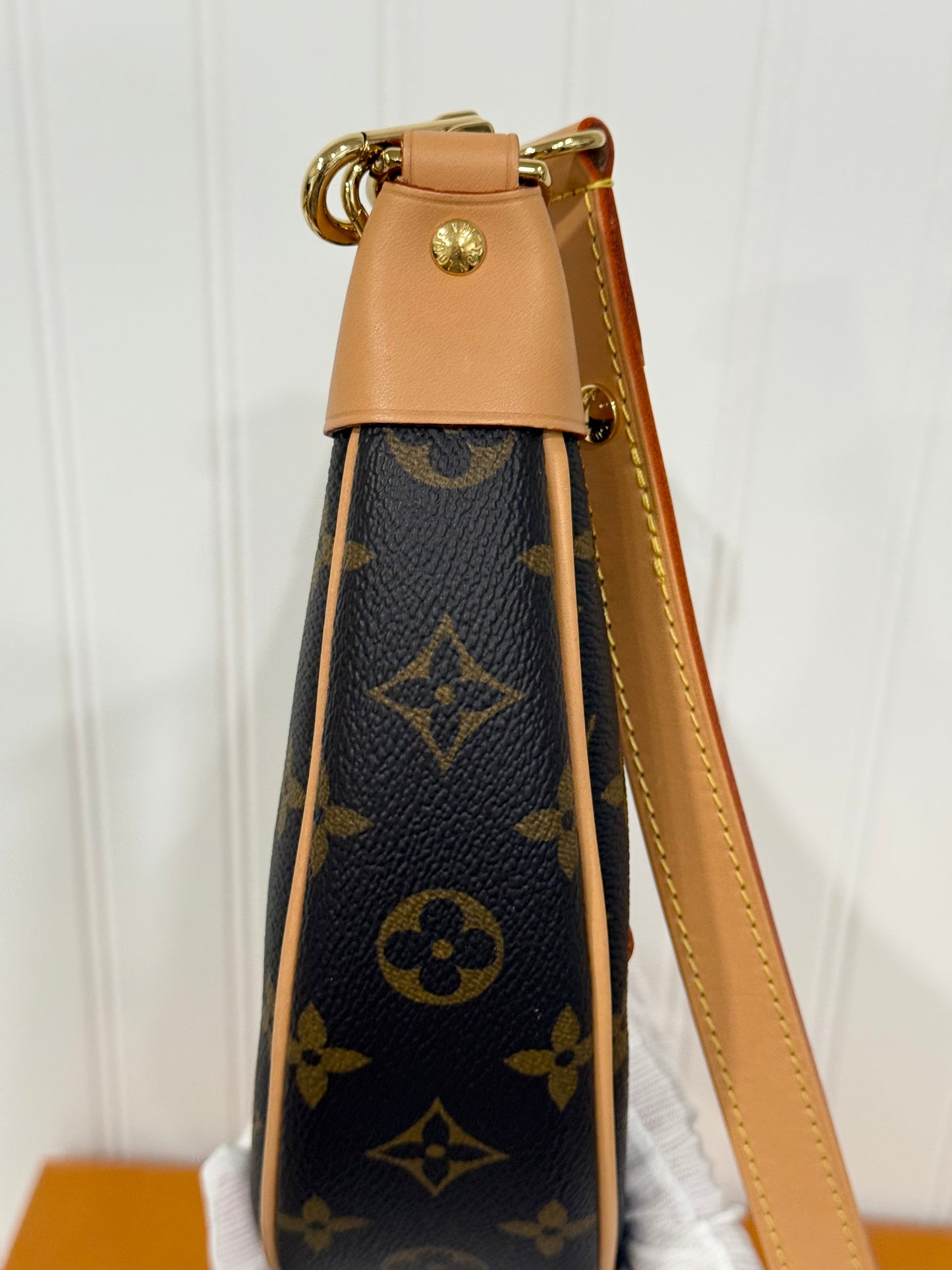 Louis Vuitton Loop PM Mono