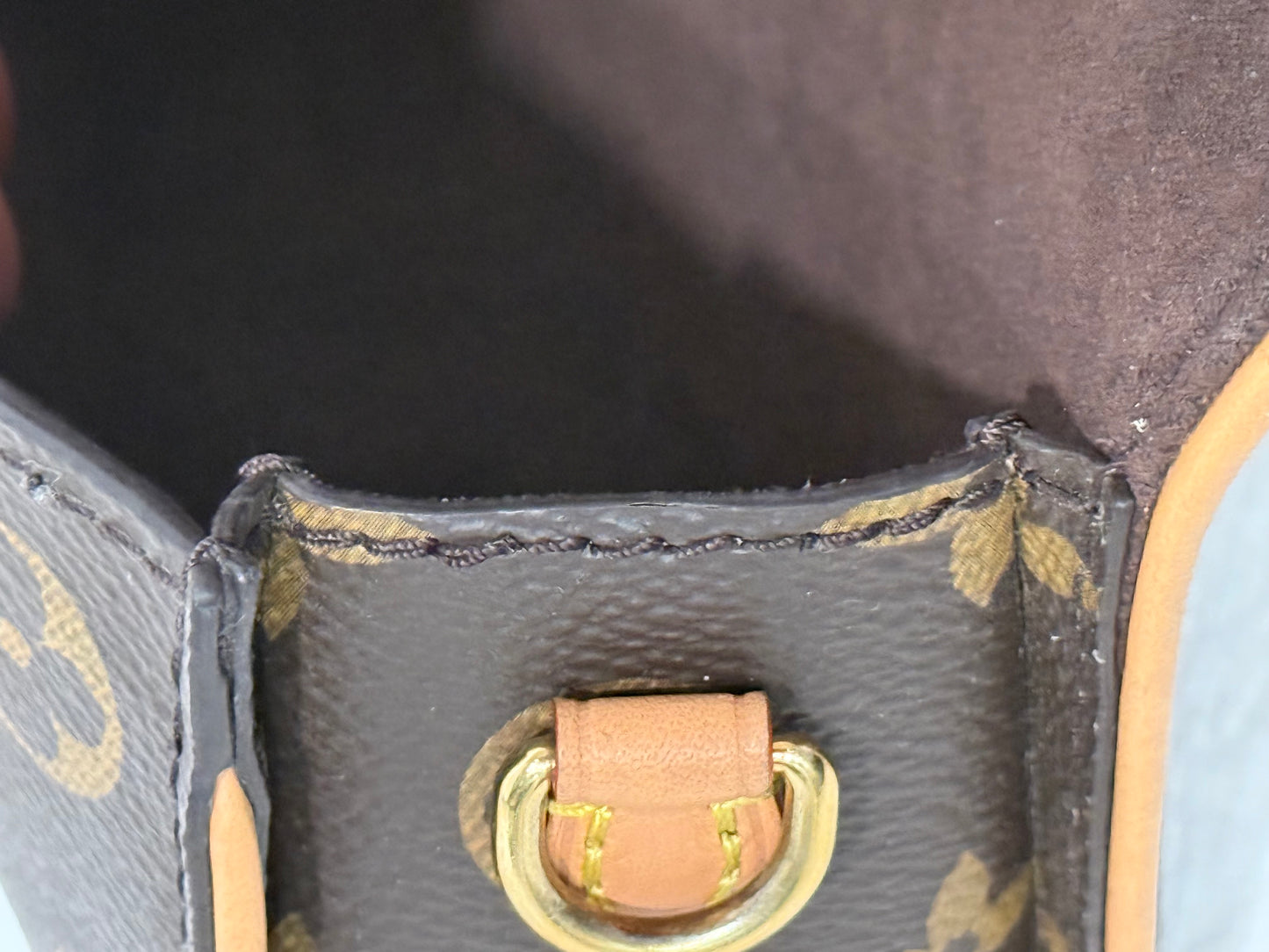Louis Vuitton Pochette Camille