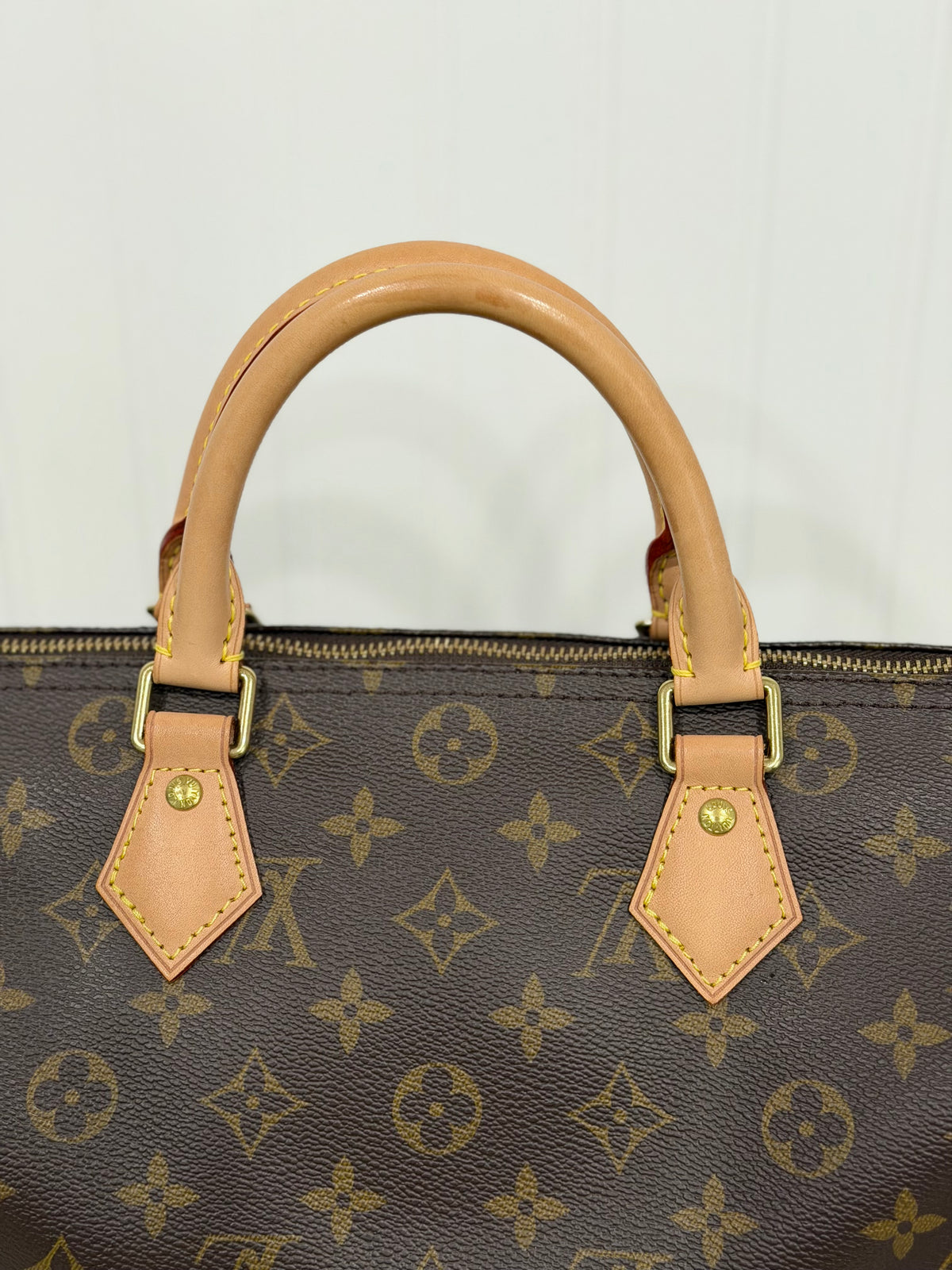 Louis Vuitton Speedy 30 Mono SD0230