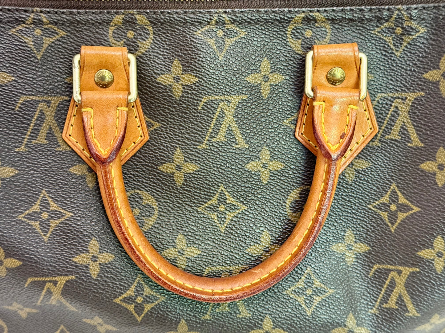 Louis Vuitton Speedy 25 Mono