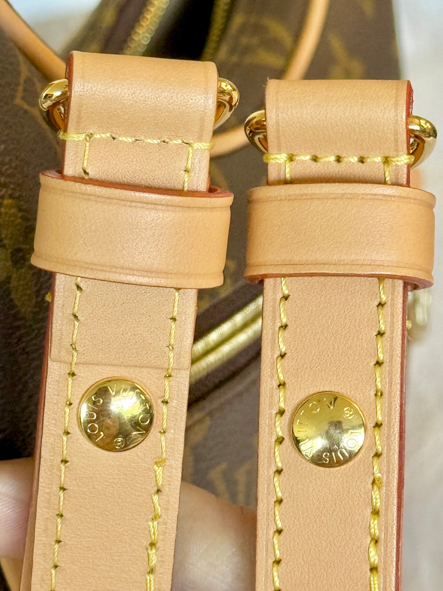 Louis Vuitton Loop PM Mono