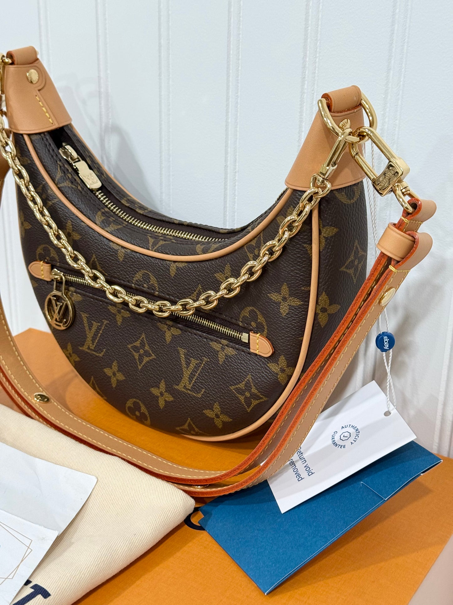 Louis Vuitton Loop PM Mono