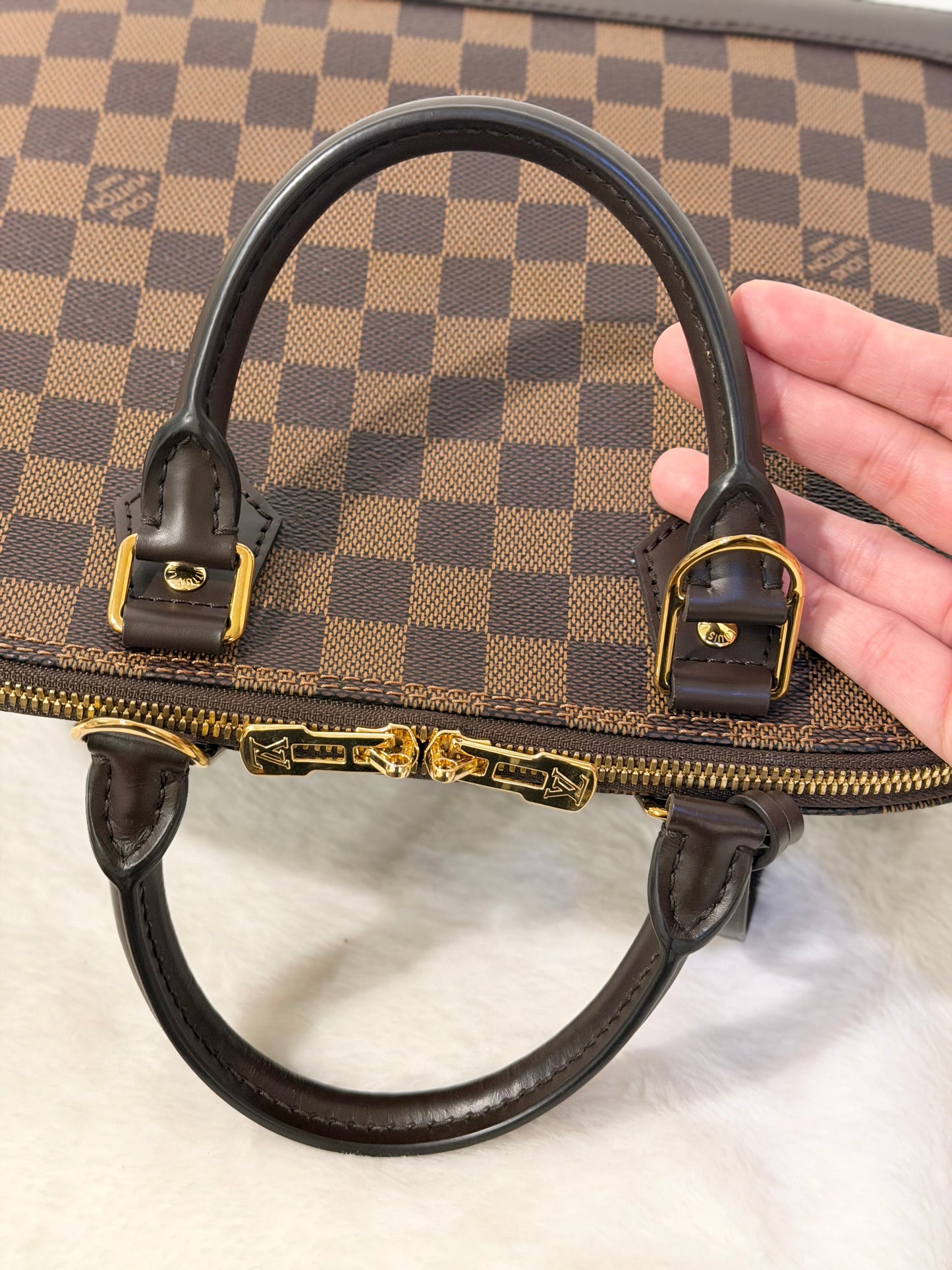 Louis Vuitton Alma PM Damier Ebene Year 2024