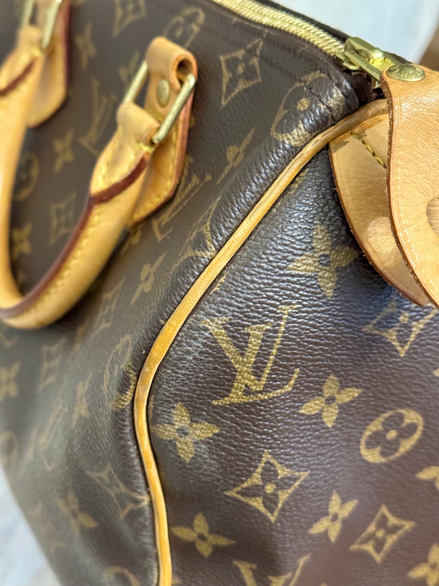Louis Vuitton Speedy 25 Mono