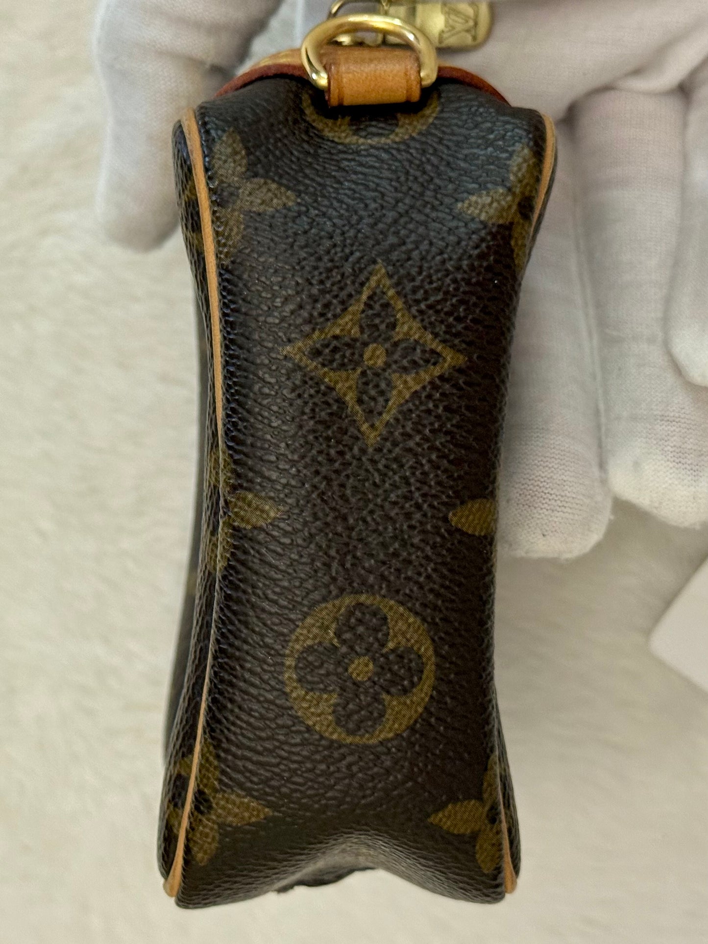 Louis Vuitton Wapity Mono Pouch