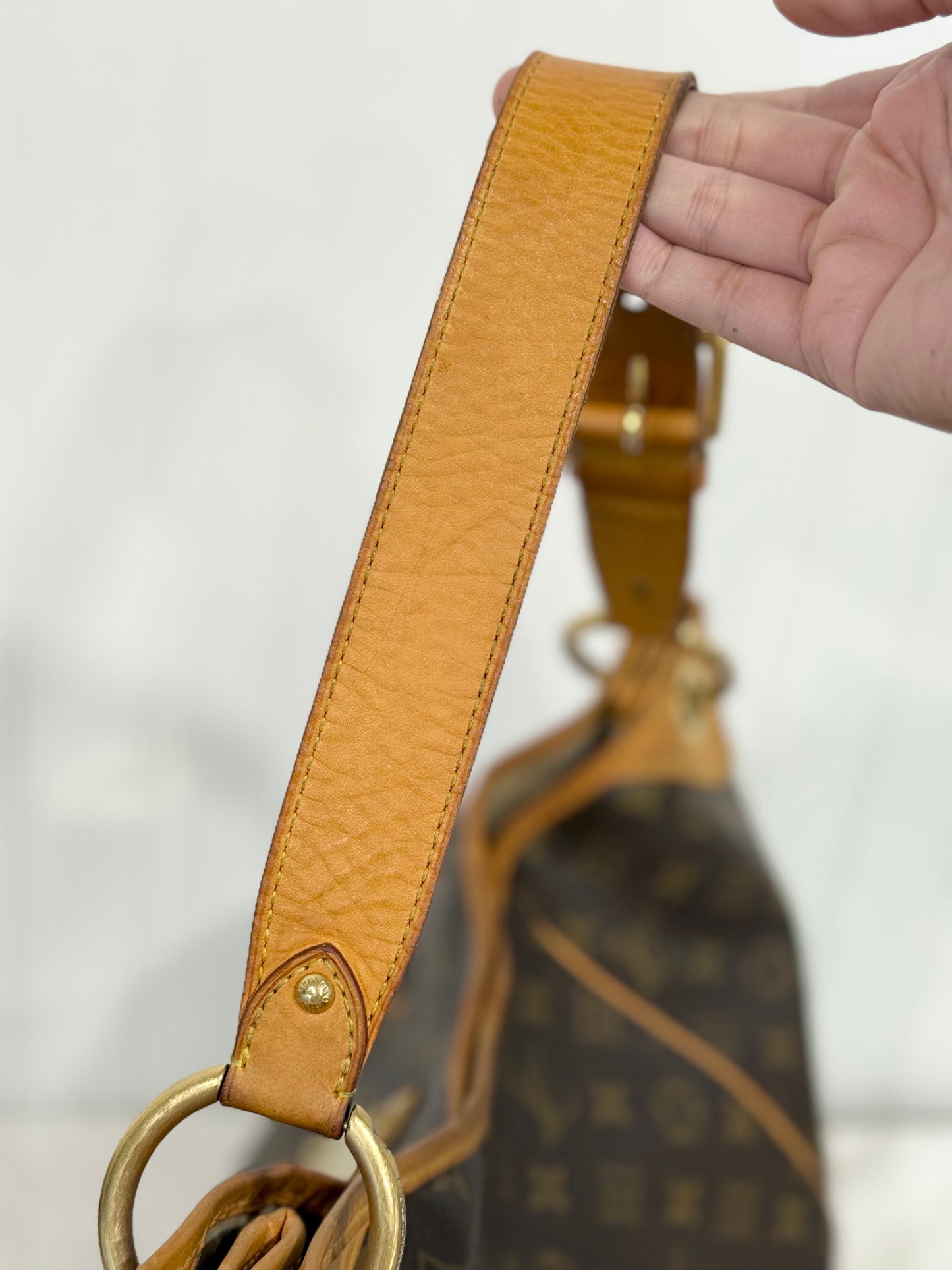 Louis Vuitton Galliera GM Mono