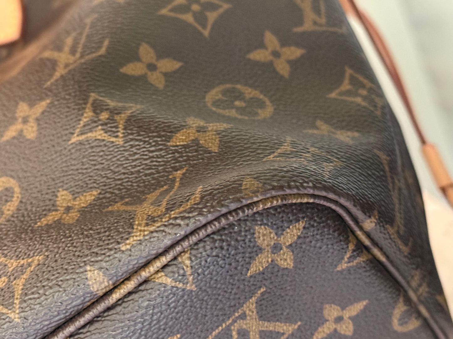 Louis Vuitton Neverfull MM Mono Pivoine Bag Only