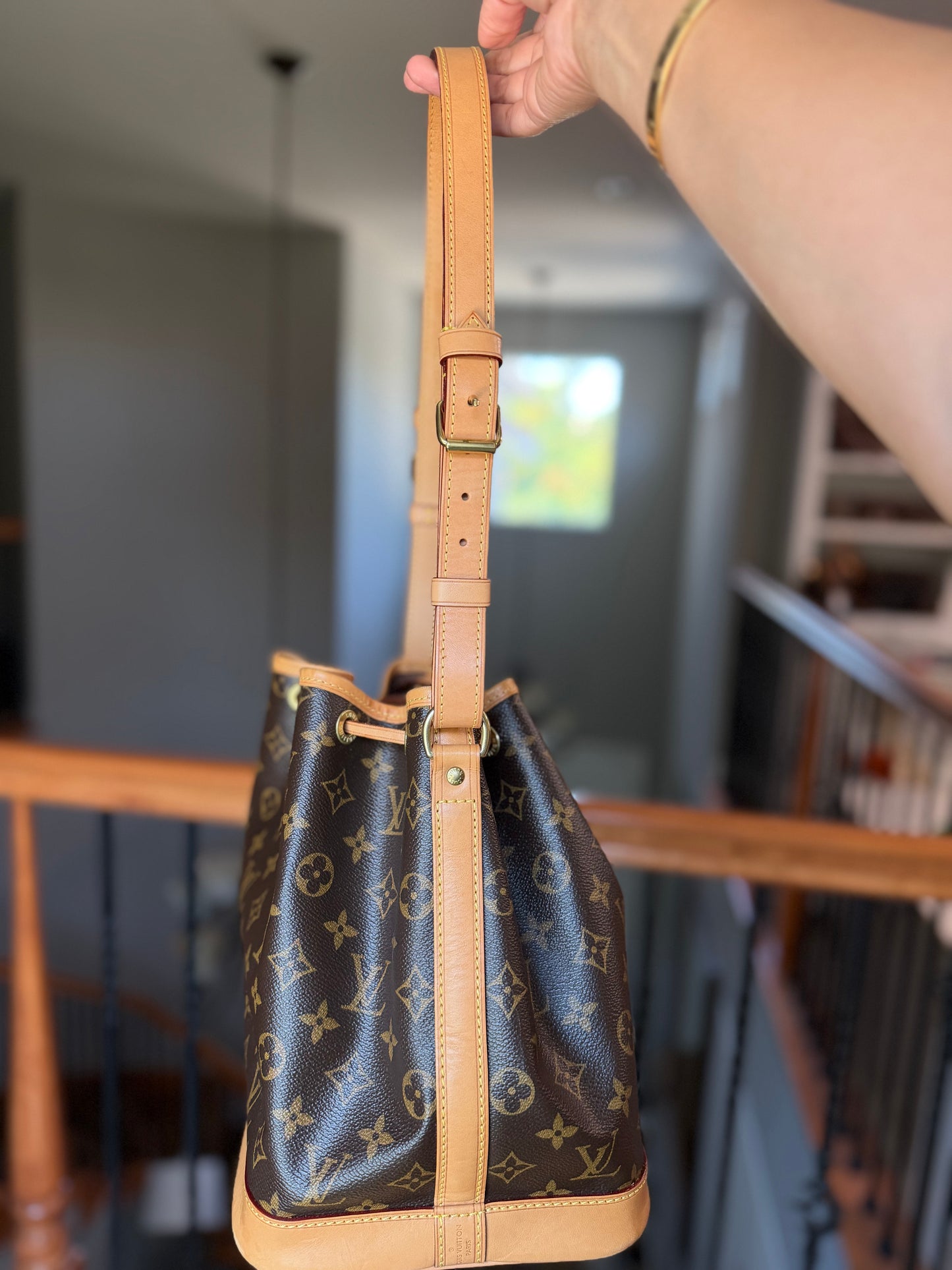 Louis Vuitton Petit Noe NM Mono